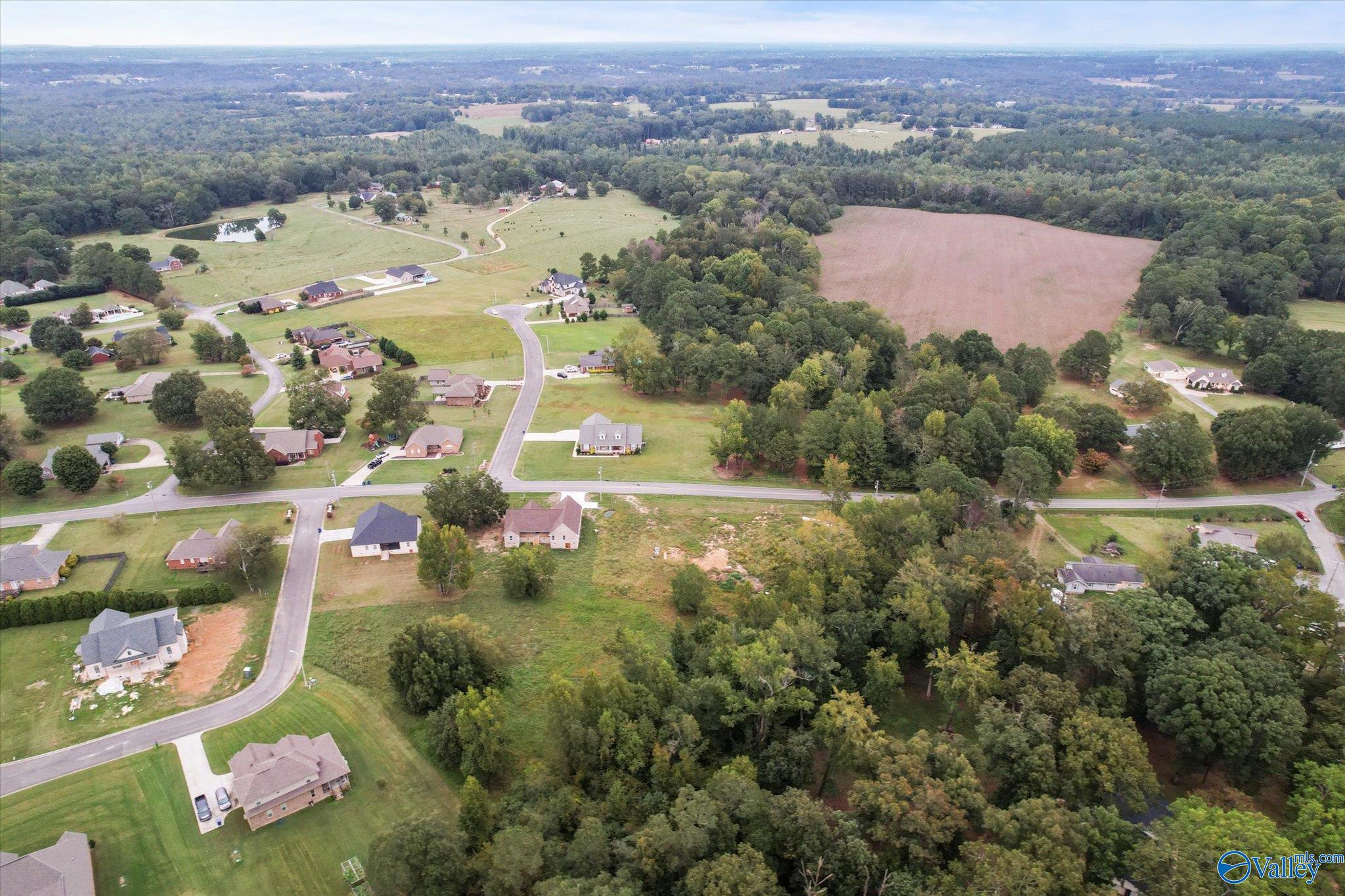 LOT 16-A East Main Street, Albertville, Alabama image 4