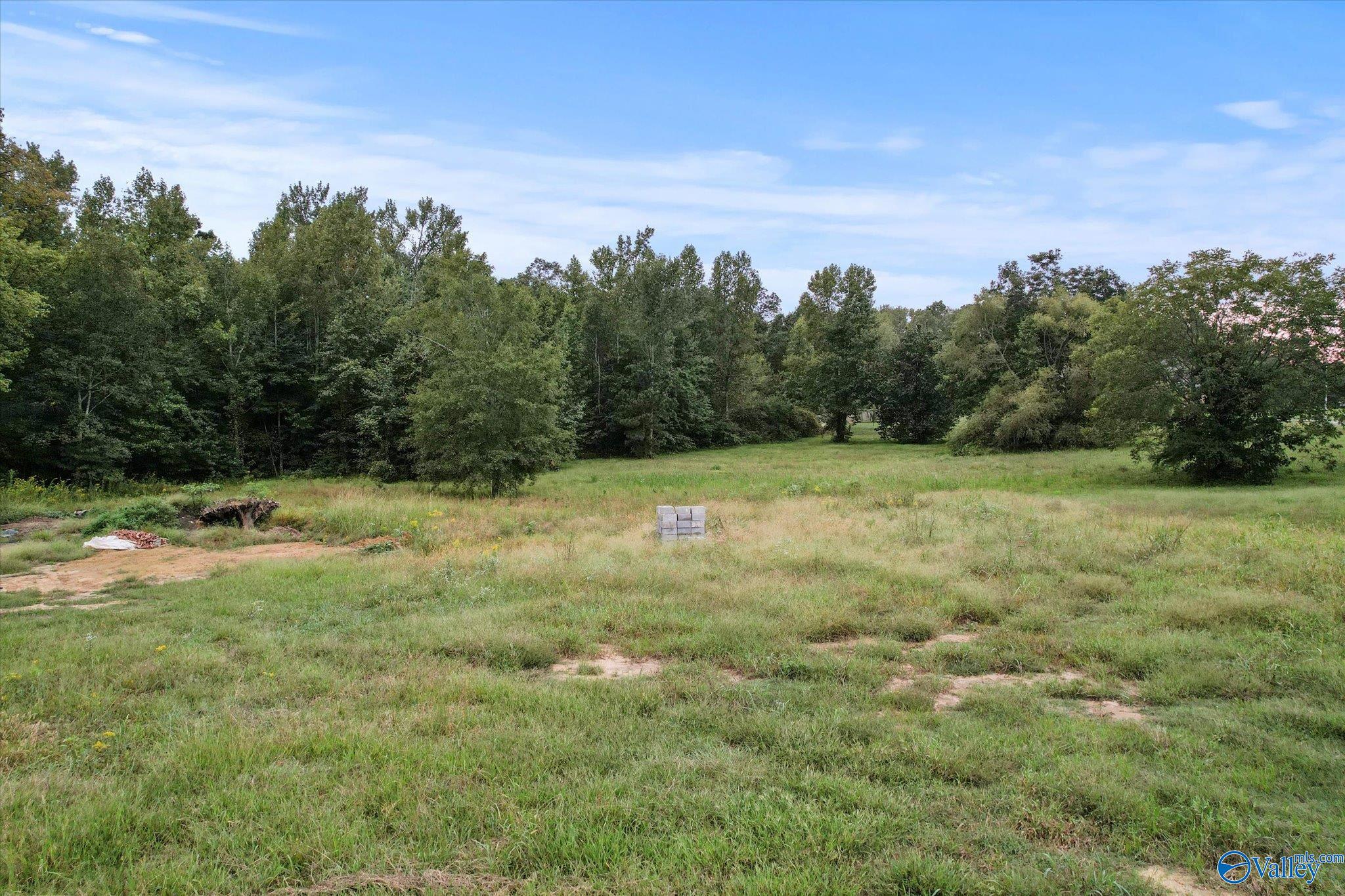 LOT 16-A East Main Street, Albertville, Alabama image 14