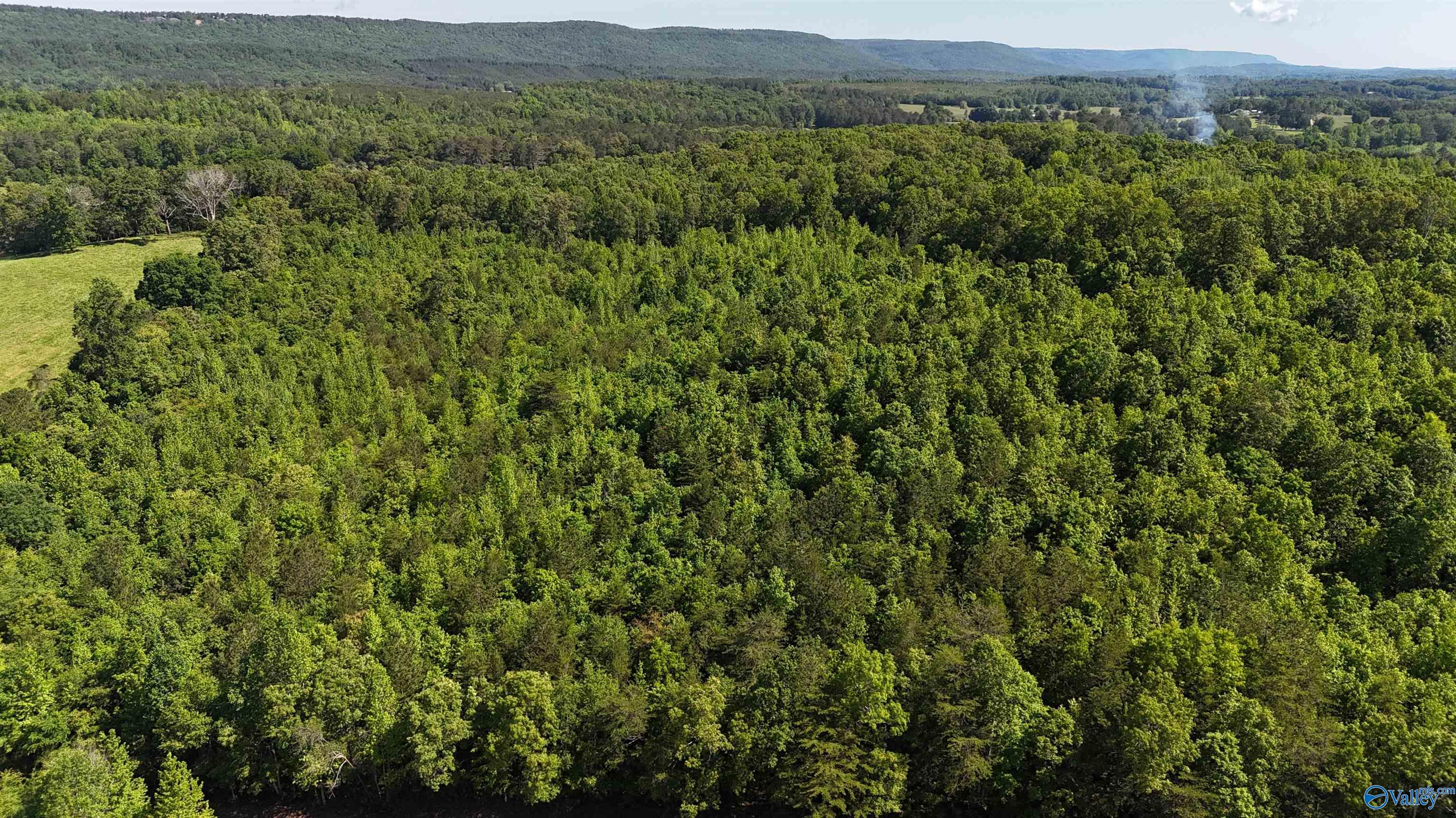 Lot 2 County Road 60, Gaylesville, Alabama image 8