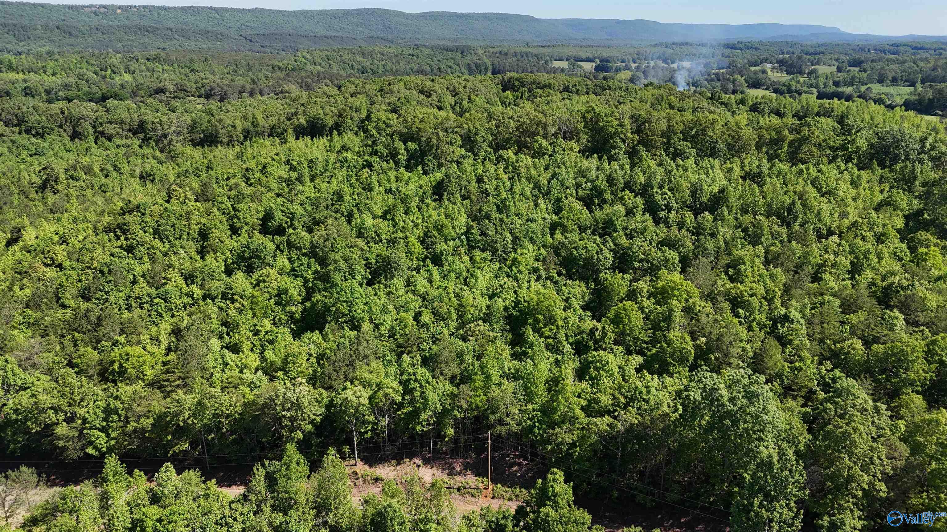 Lot 2 County Road 60, Gaylesville, Alabama image 4