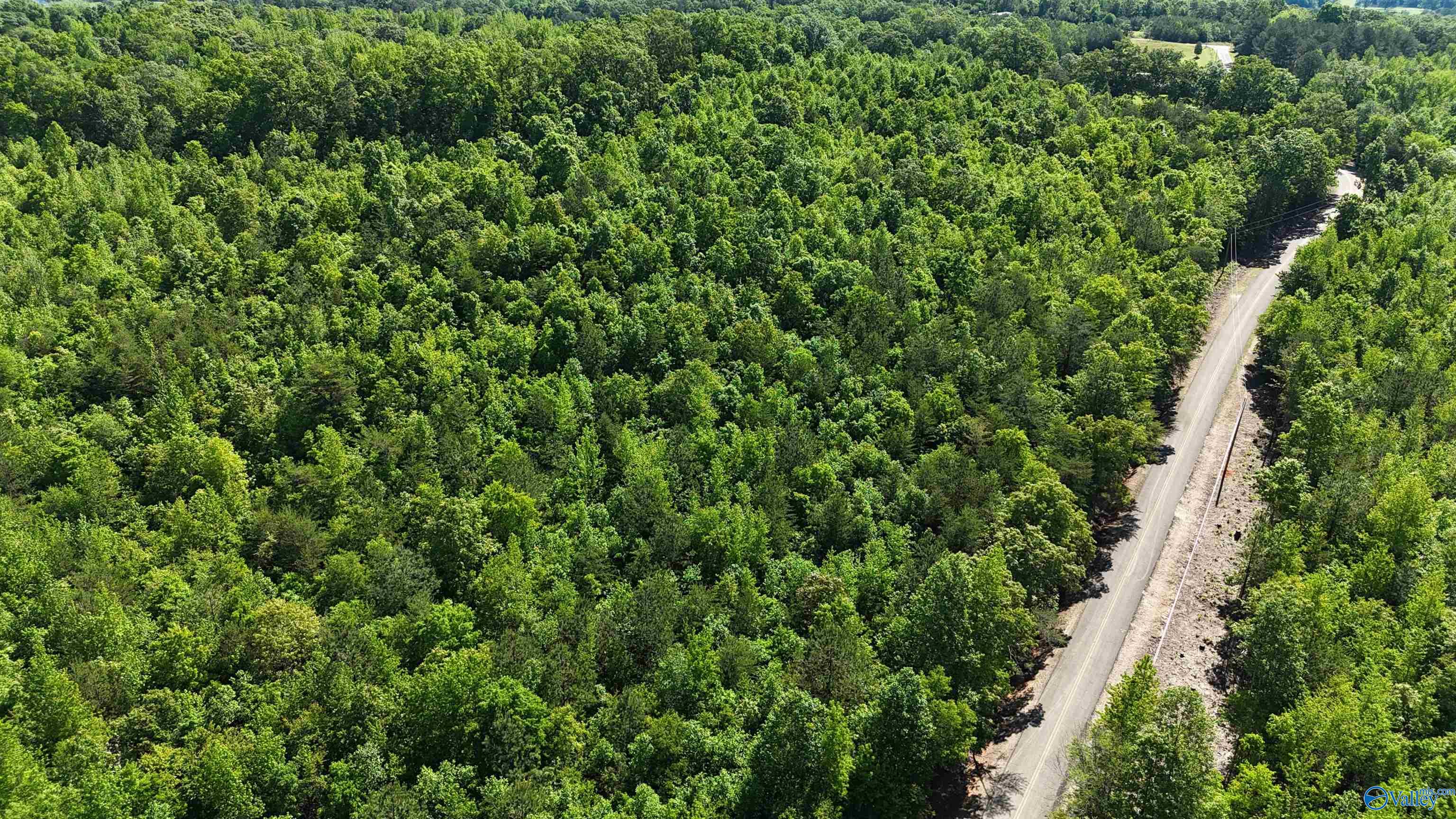 Lot 2 County Road 60, Gaylesville, Alabama image 6
