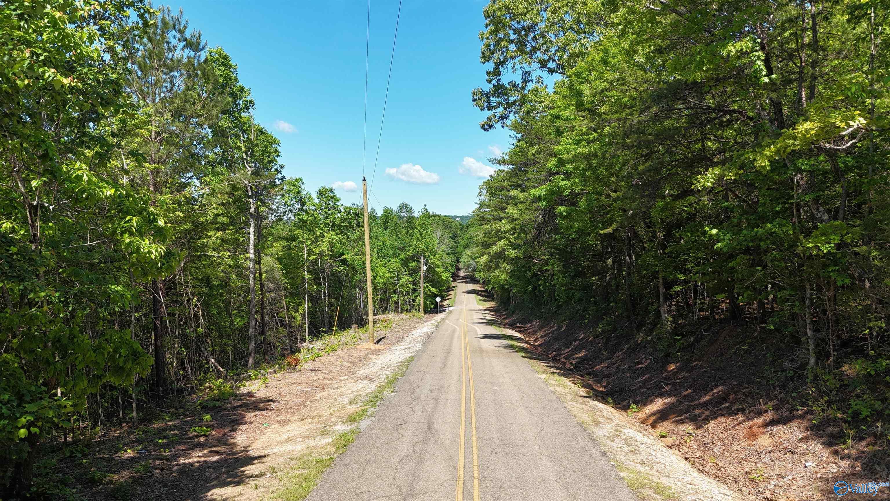 Lot 2 County Road 60, Gaylesville, Alabama image 11