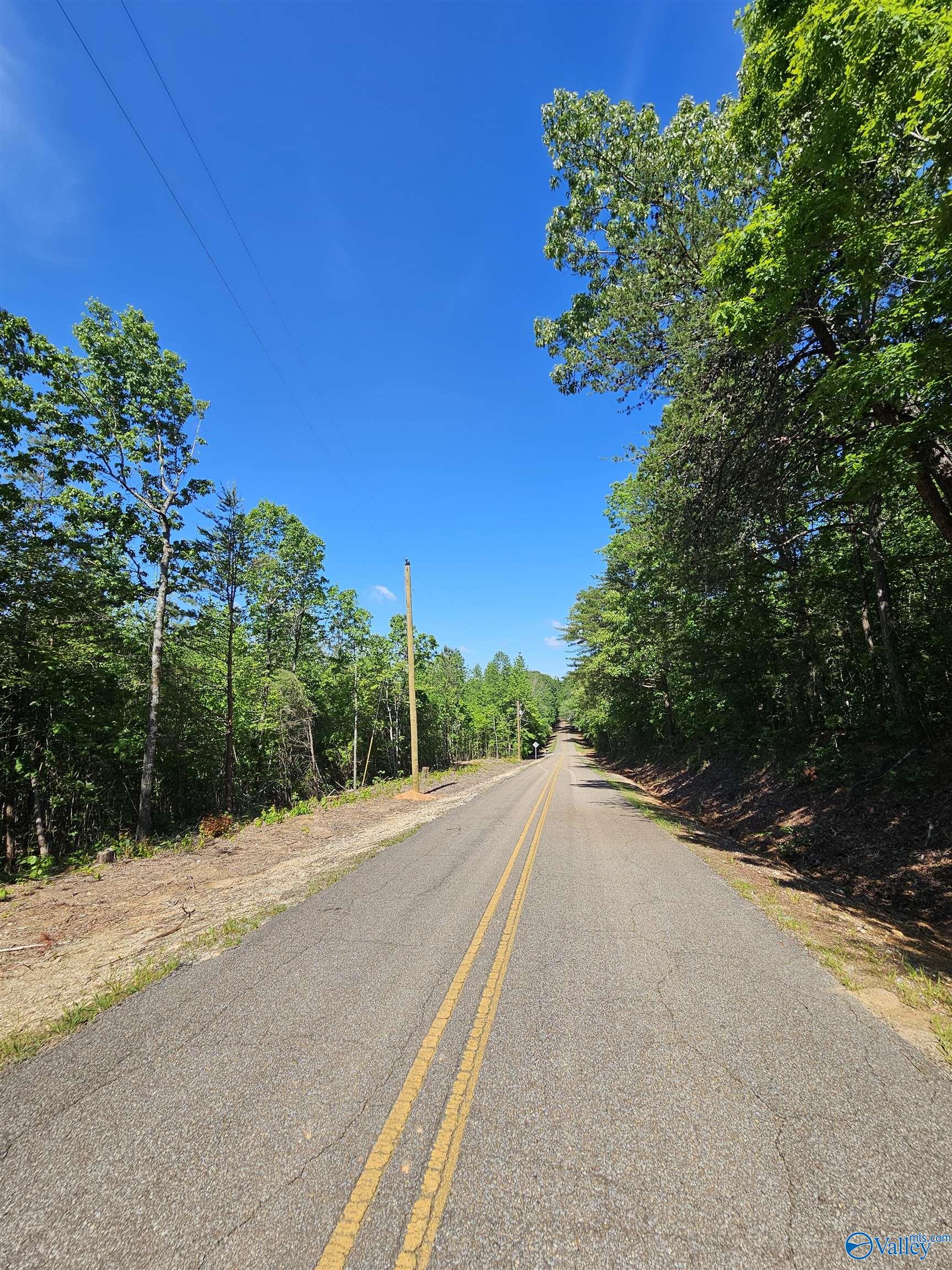 Lot 2 County Road 60, Gaylesville, Alabama image 3