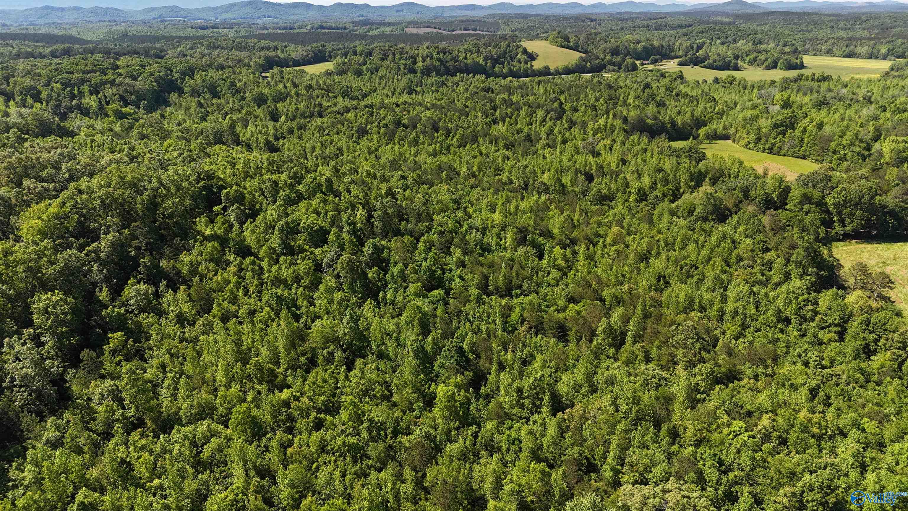 Lot 2 County Road 60, Gaylesville, Alabama image 5
