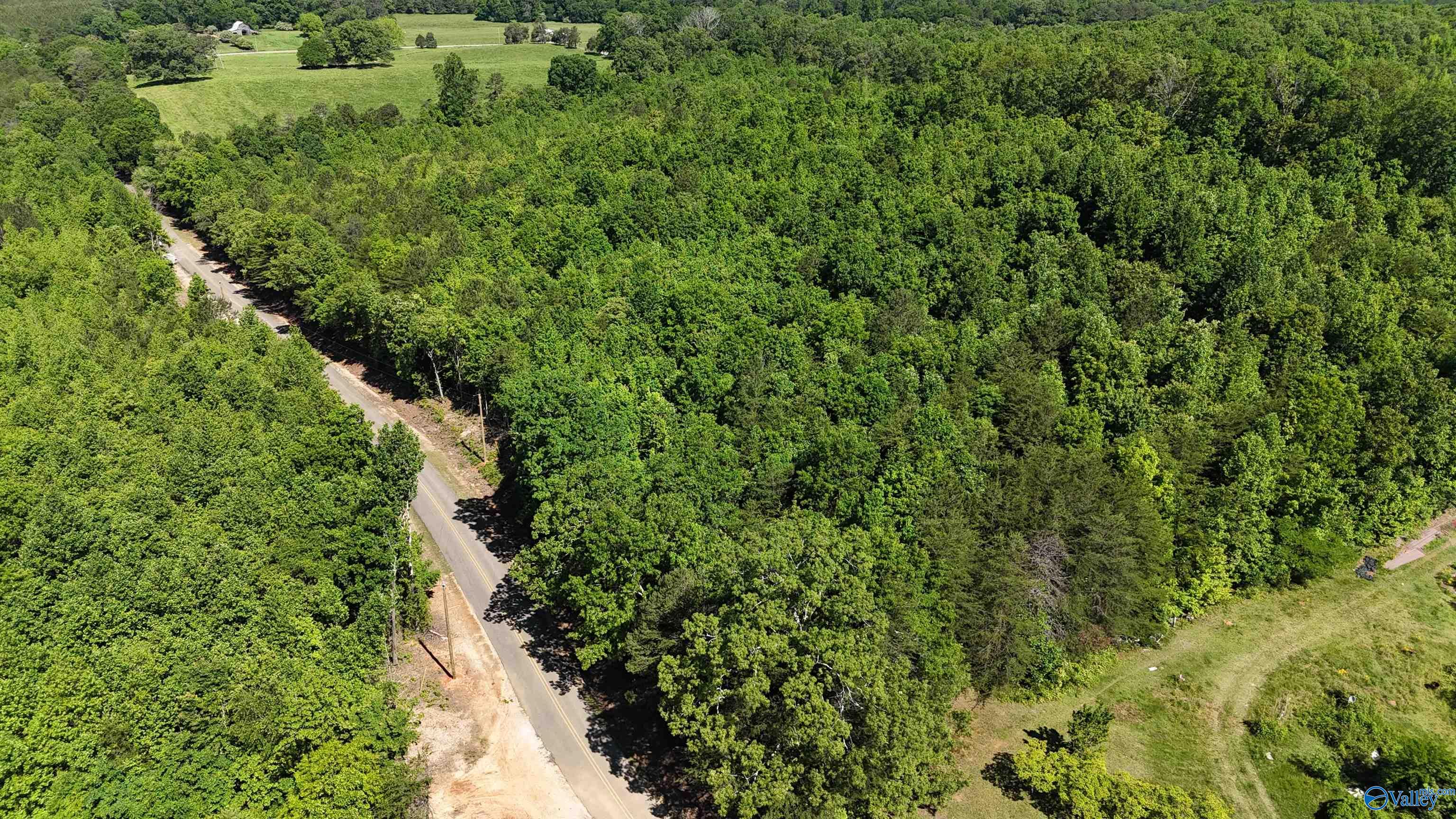 Lot 2 County Road 60, Gaylesville, Alabama image 9