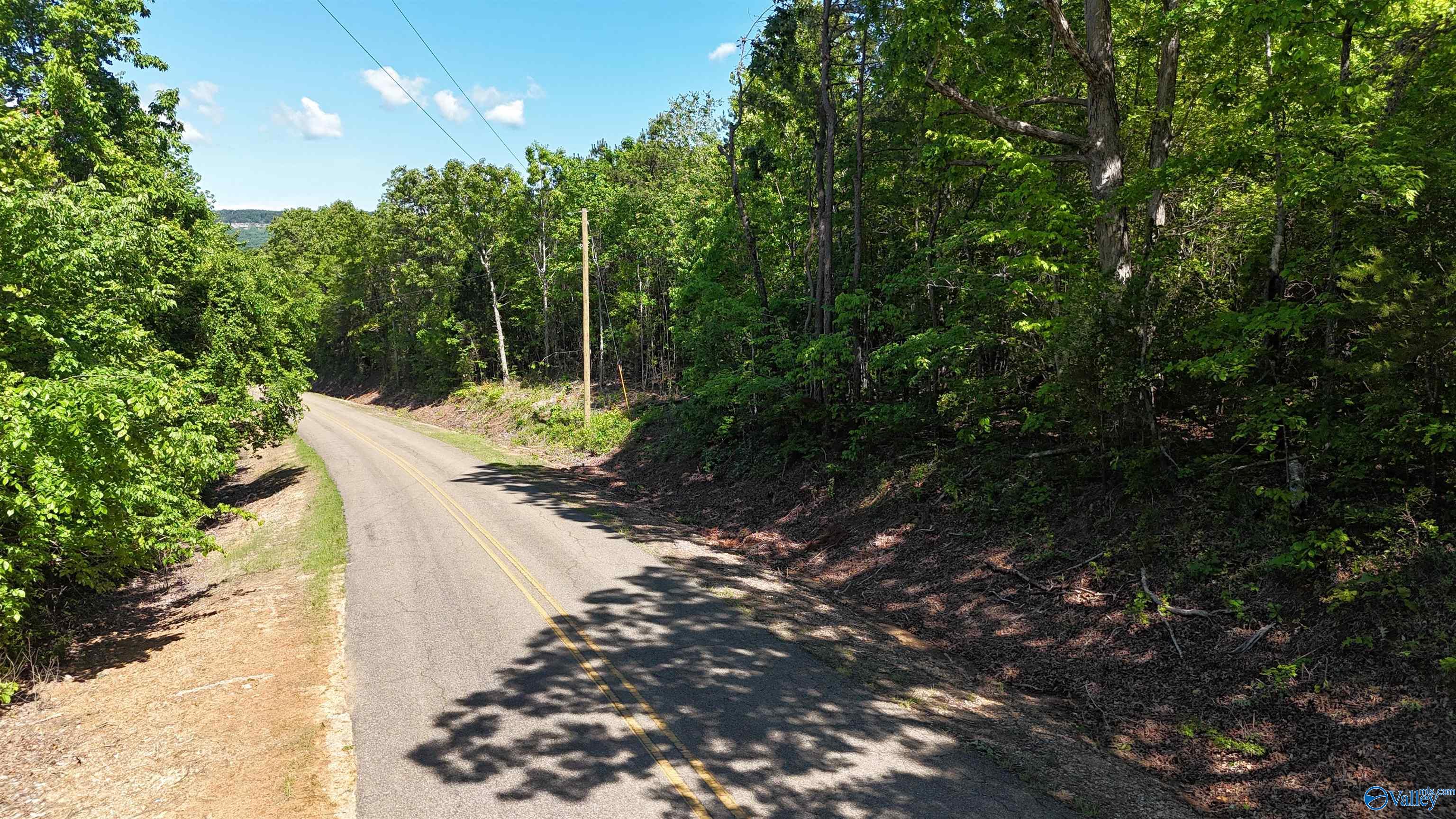 Lot 2 County Road 60, Gaylesville, Alabama image 10