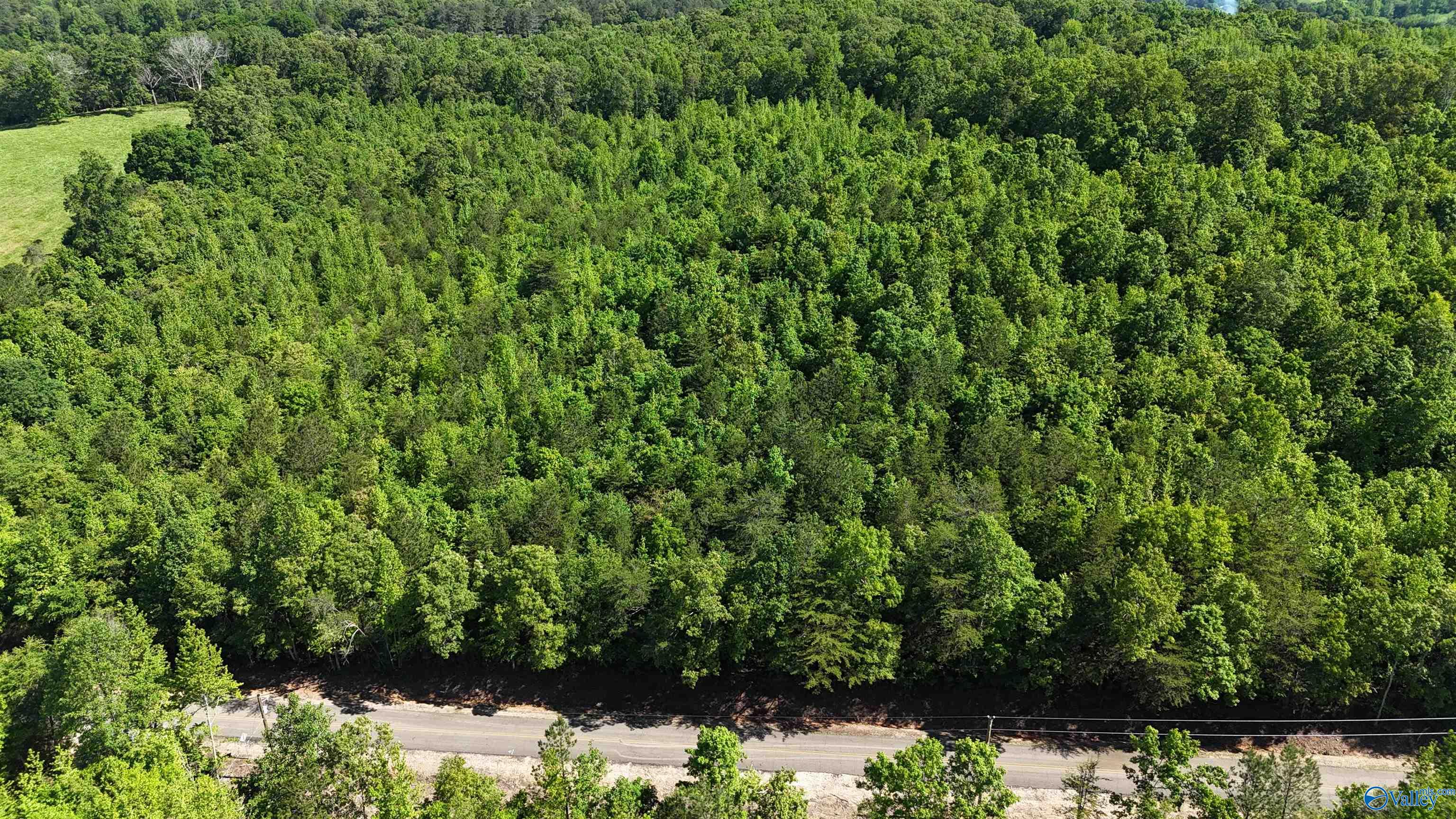 Lot 2 County Road 60, Gaylesville, Alabama image 7