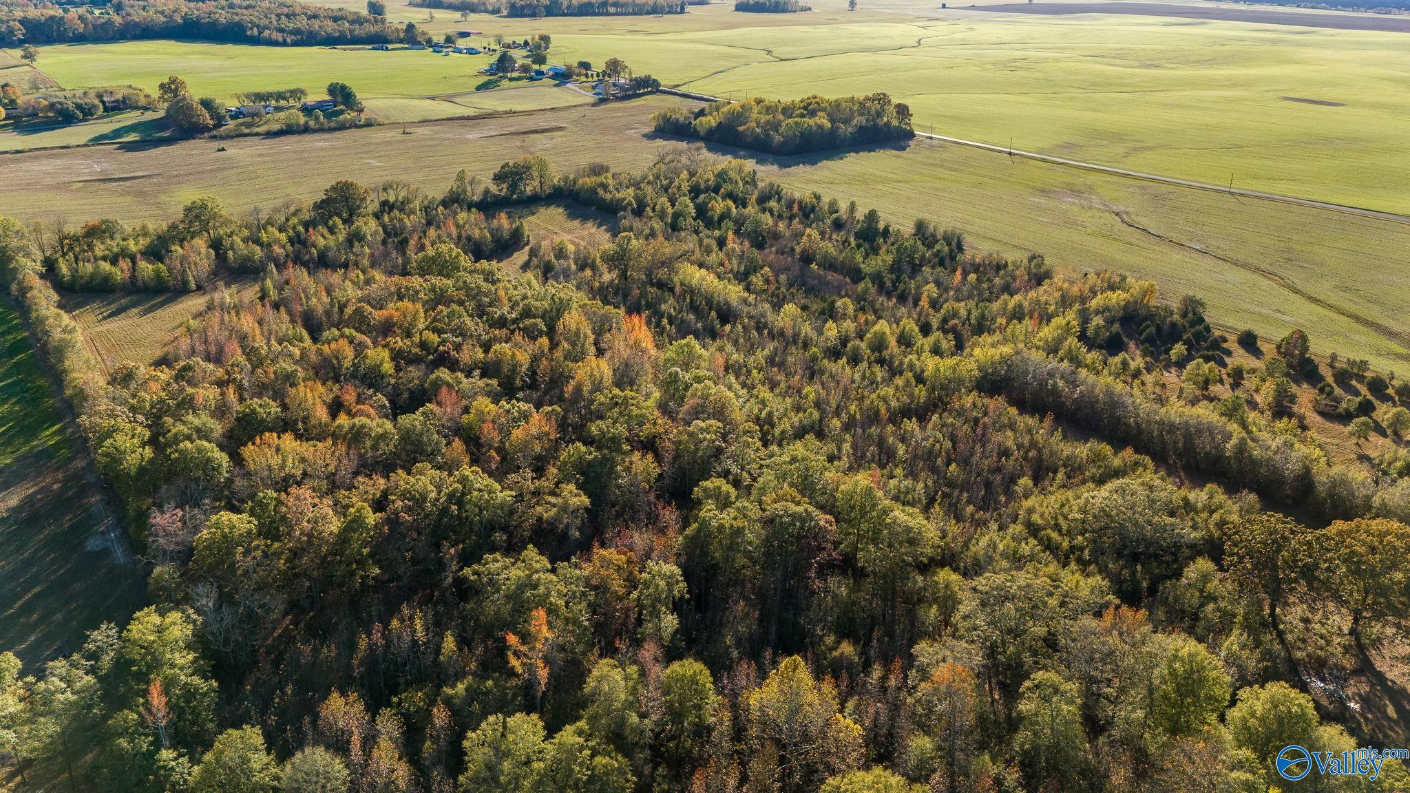 35 County Line Road, Elora, Tennessee image 4