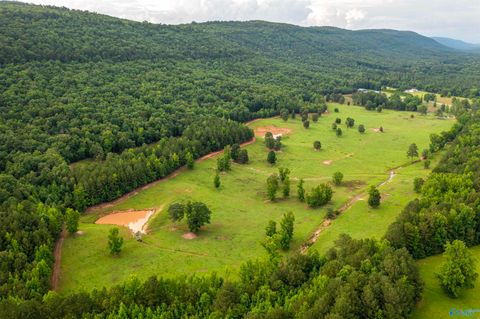 Vacant Land For Sale - 7805-B Owls Hollow Road<br/> Etowah County, Gadsden, AL 35901