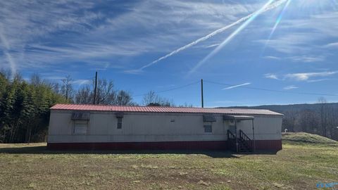 Homes For Sale - 910 County Road 313<br/> Cherokee County, Collinsville, AL 35961