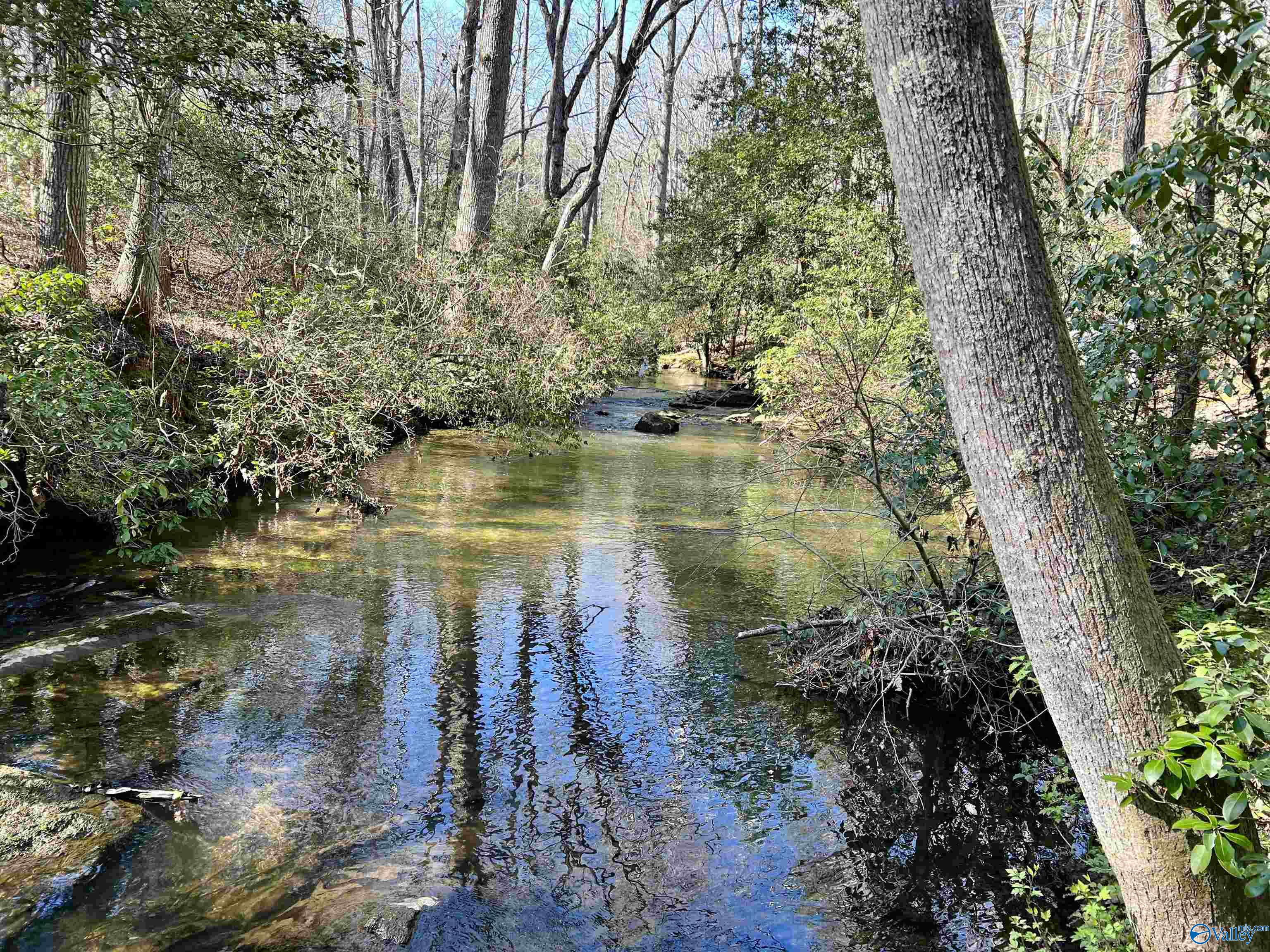 Lot 6 Bear Creek Road, Fort Payne, Alabama image 4