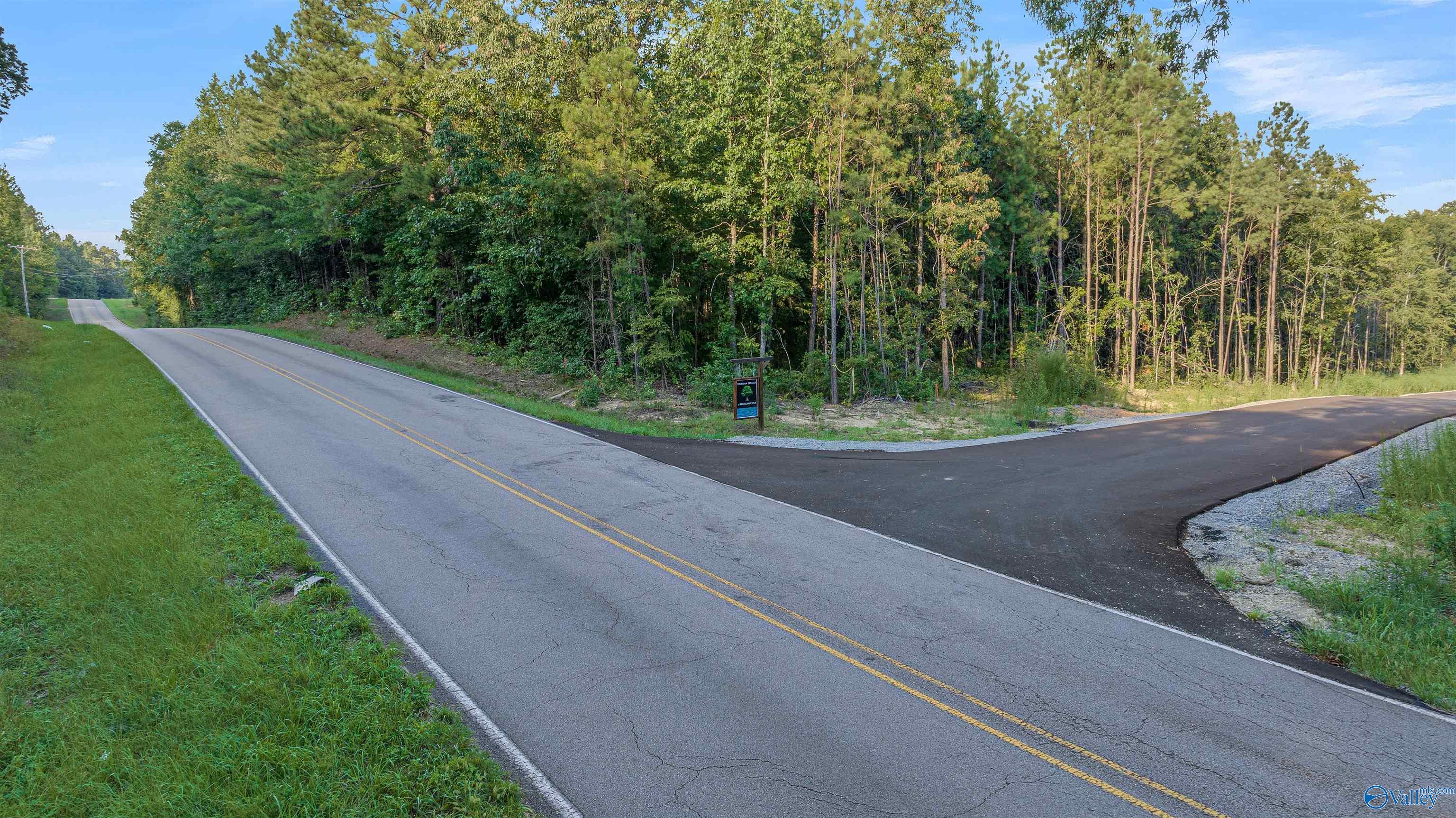 Lot #26 South Sauty Road, Langston, Alabama image 5