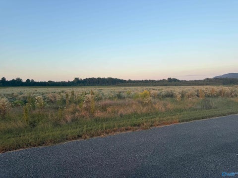 Vacant Land For Sale - TRACT 35 County Road 32<br/> Centre, AL 35960