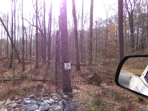 Vacant Land For Sale - LOT 39 County Road 243<br/> Cherokee County, Cedar Bluff, AL 35959