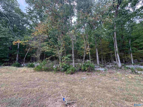Vacant Land For Sale - 3117 Haver Hill Lane<br/> Owens Cross Roads, AL 35763
