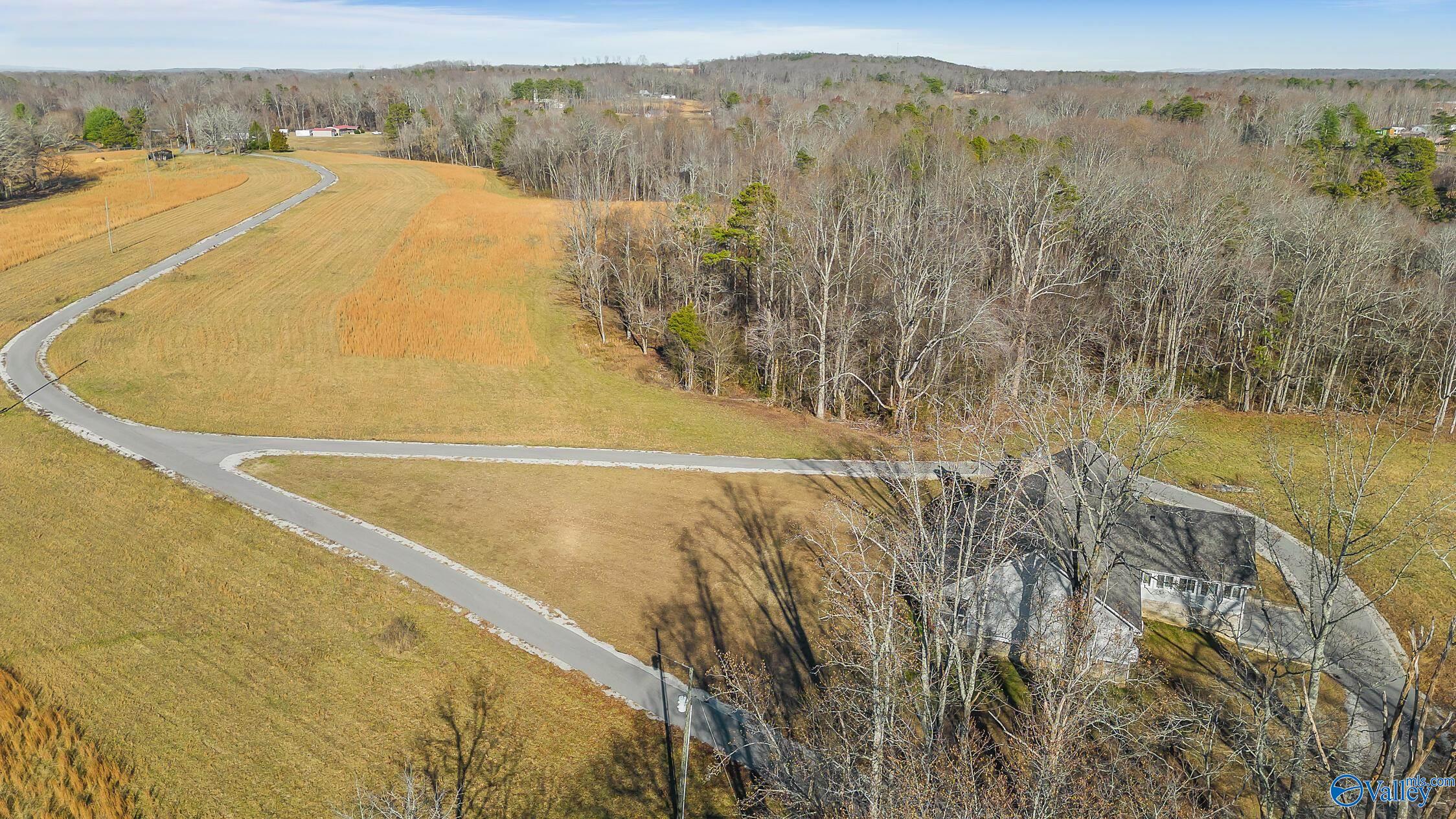 658 County Road 315, Bryant, Alabama image 39
