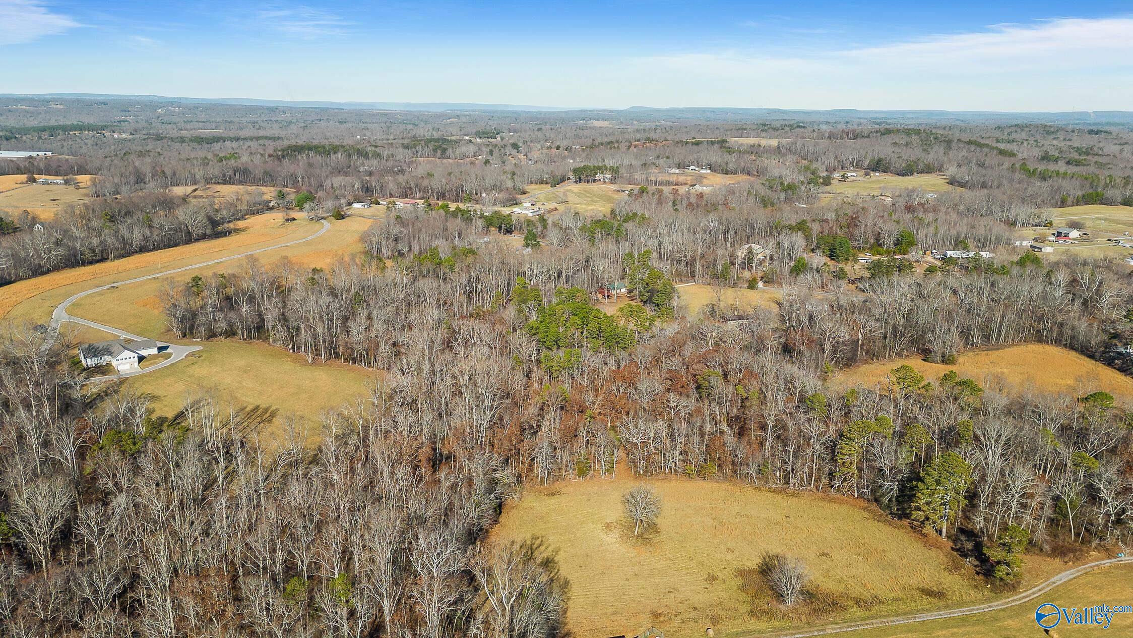 658 County Road 315, Bryant, Alabama image 36
