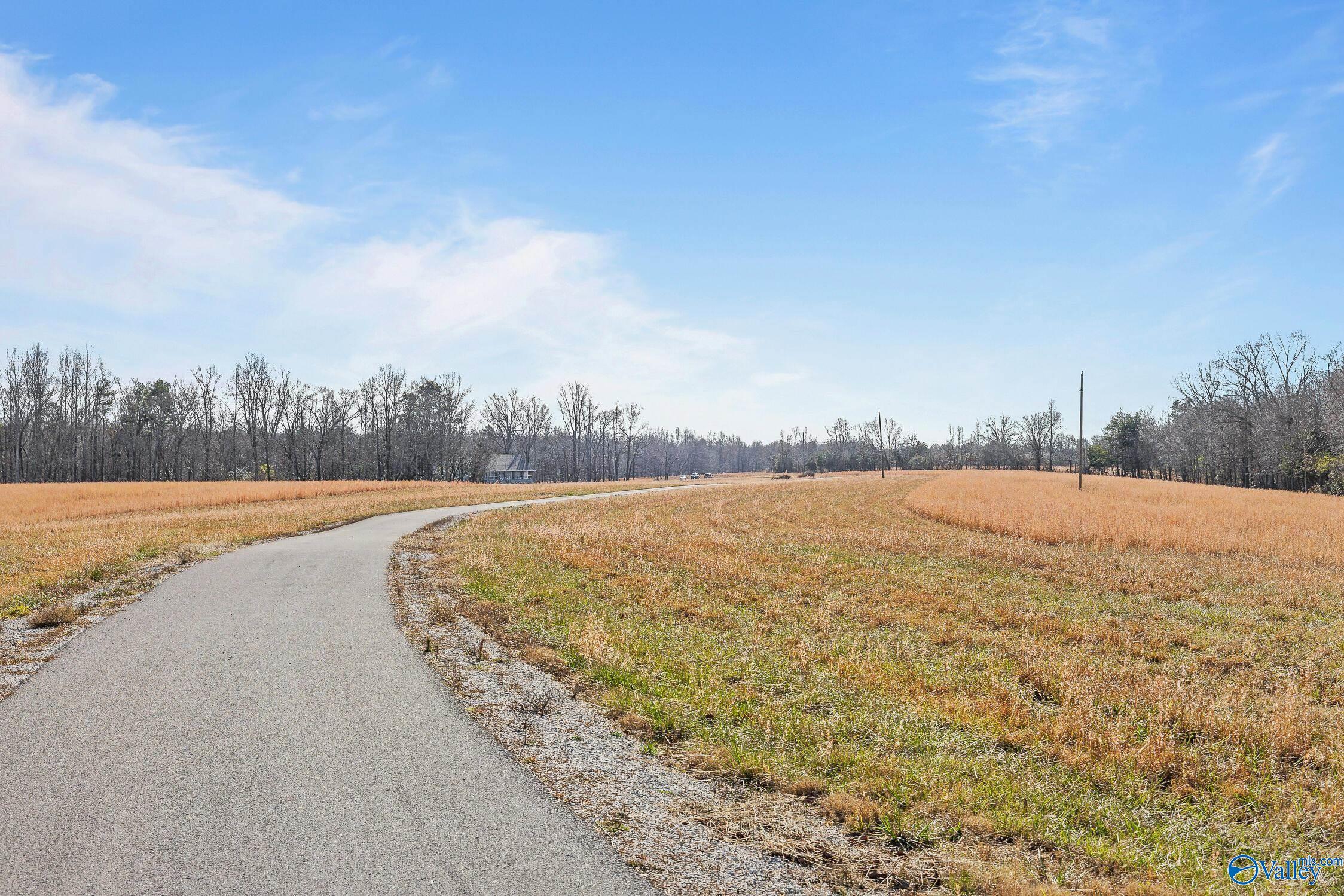 658 County Road 315, Bryant, Alabama image 34