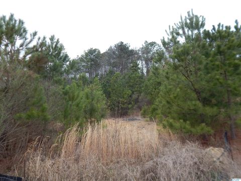 Vacant Land For Sale - 59.61 ACRES Faith School Road<br/> Mccalla, AL 35111