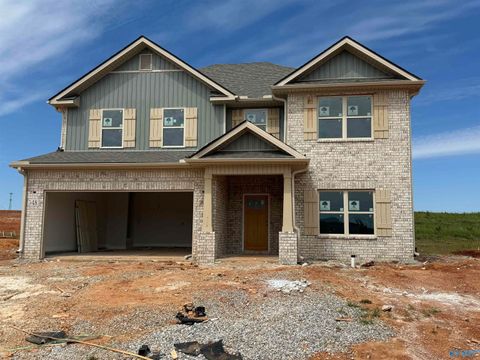 Photo of 348 Wanto Lane, Huntsville, AL 35811 (MLS # 21916926)