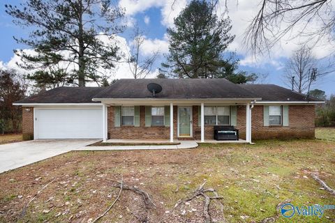 Photo of 106 Pine Cone Drive, Toney, AL 35773 (MLS # 21905552)