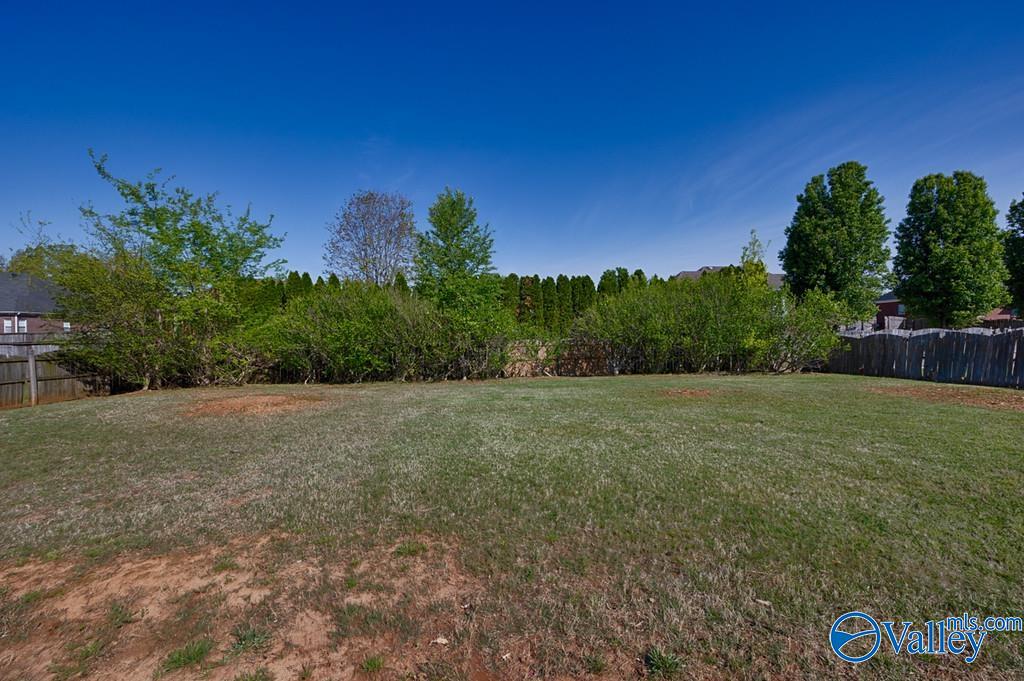 126 Tall Sky Lane, Huntsville, Alabama image 45