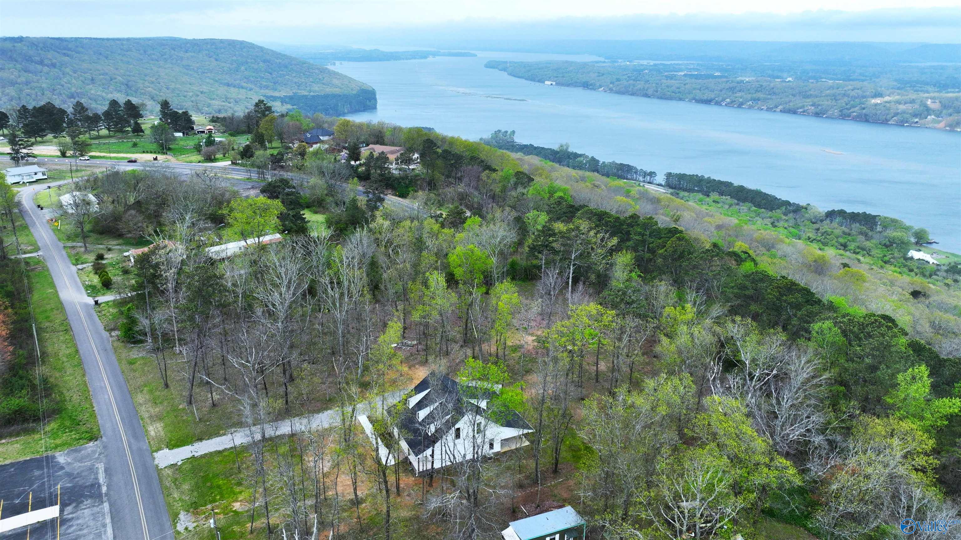 191 Scenic Drive, Section, Alabama image 3