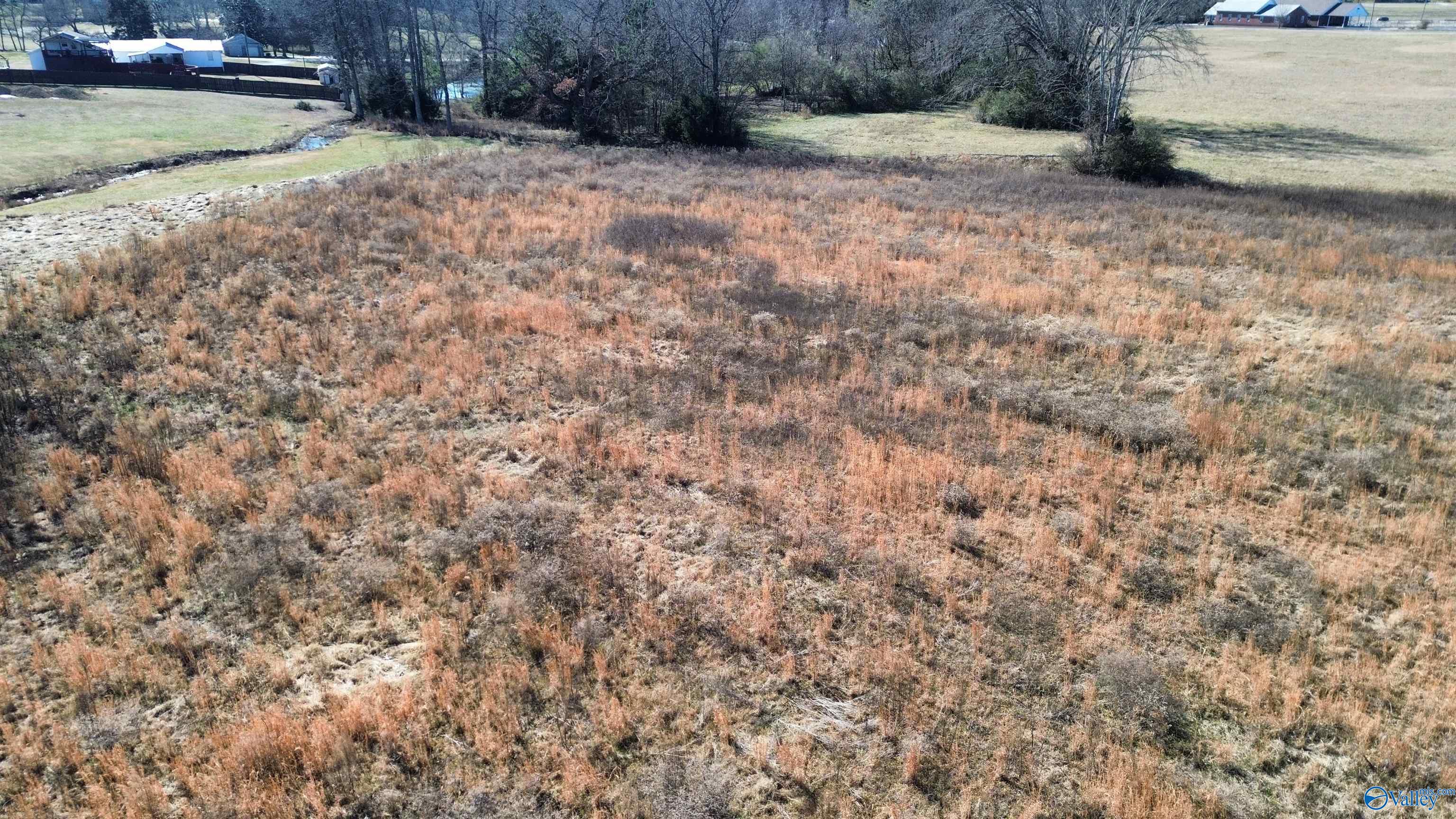 Lot 3 Nelson Road, Elkmont, Alabama image 8