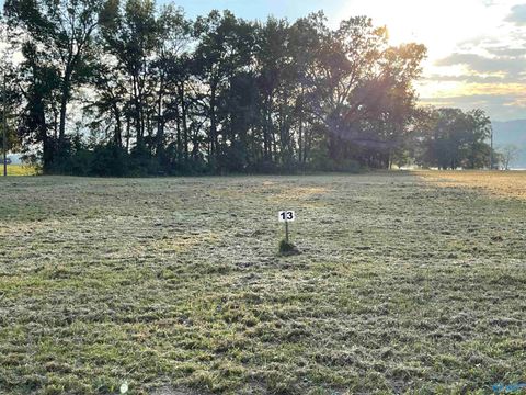 Vacant Land For Sale - 1080 Lake Forest Drive<br/> Etowah County, Southside, AL 35907