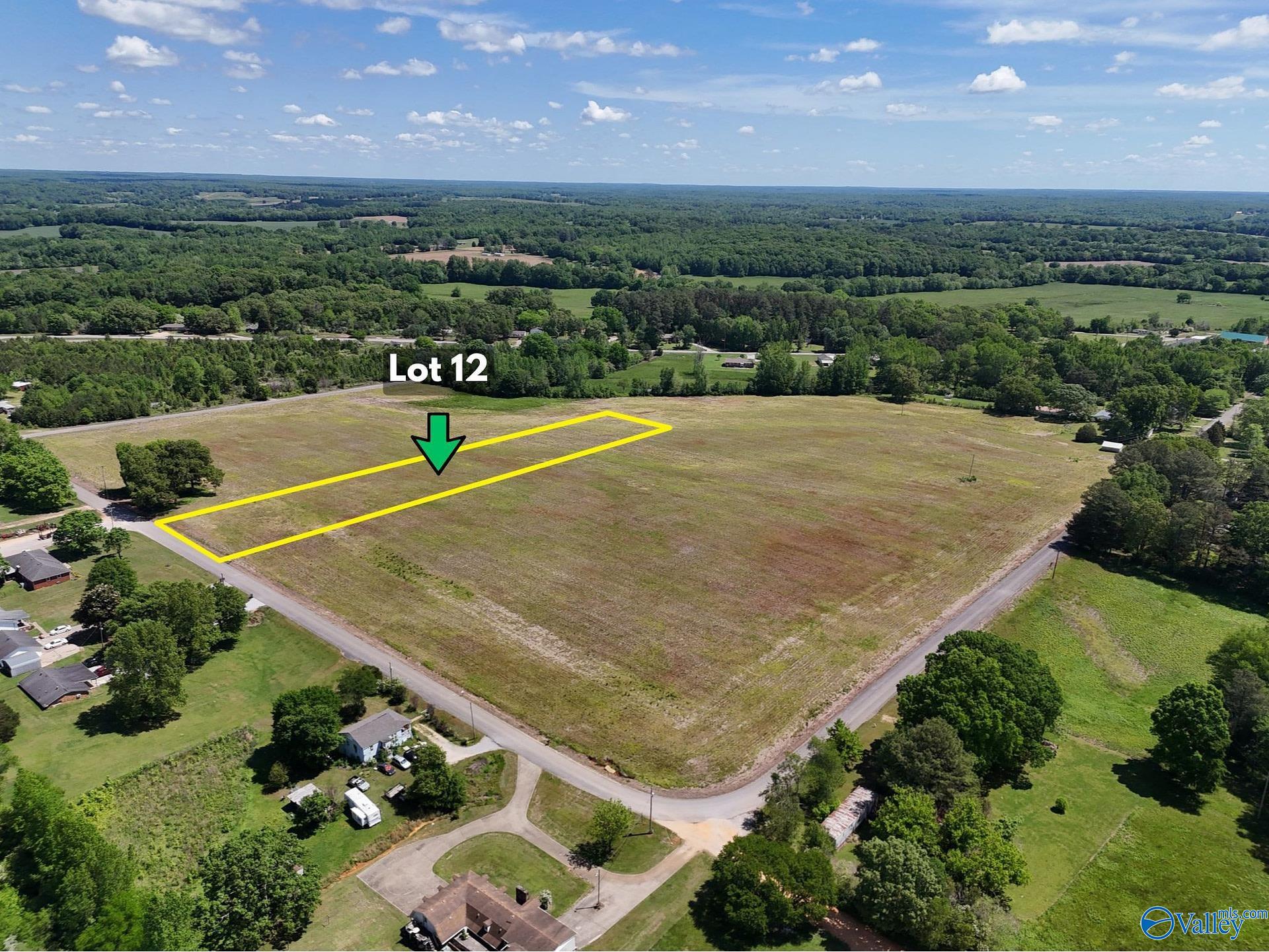 Lot 12 County Road 263, Florence, Alabama image 4