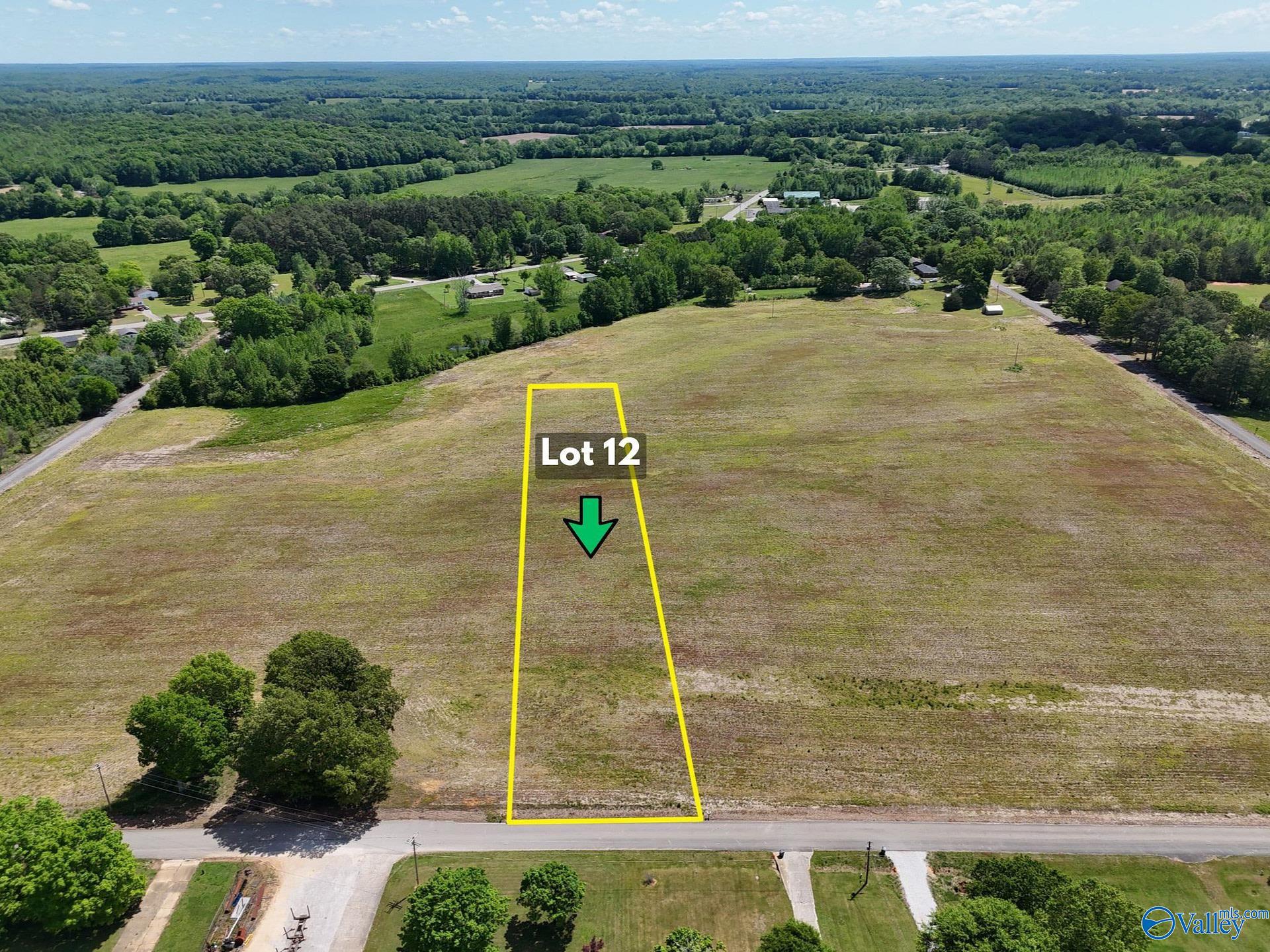 Lot 12 County Road 263, Florence, Alabama image 1