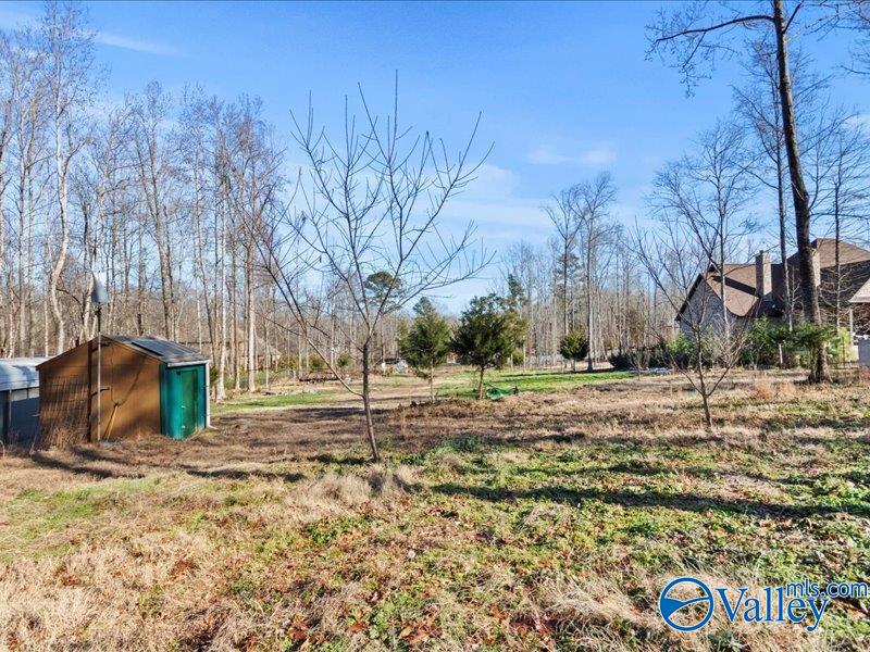 494 Beth Road, New Market, Alabama image 6