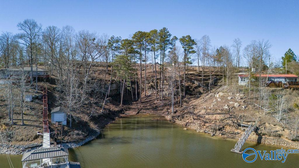 Parcel 01 County Road 206, Crane Hill, Alabama image 9