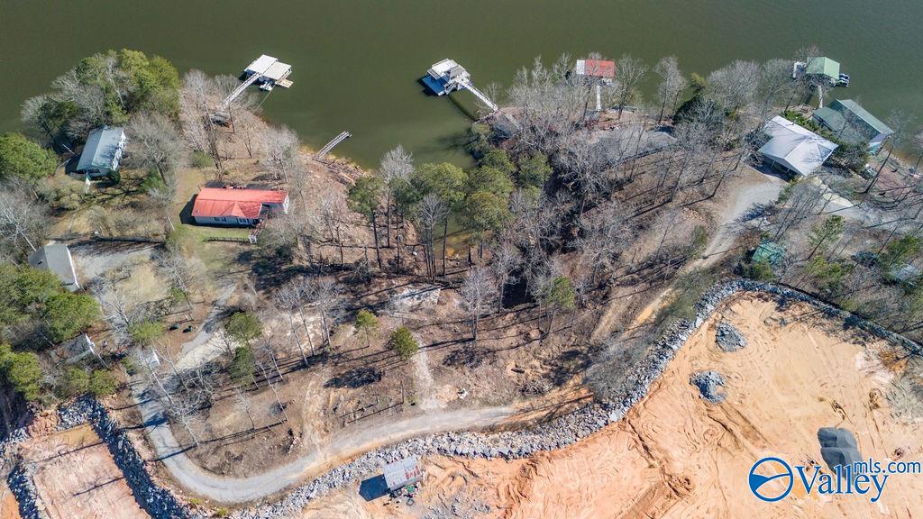 Parcel 01 County Road 206, Crane Hill, Alabama image 7