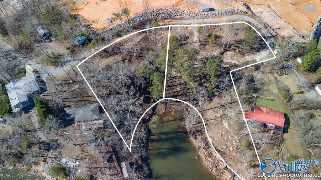 Parcel 01 County Road 206, Crane Hill, Alabama image 1