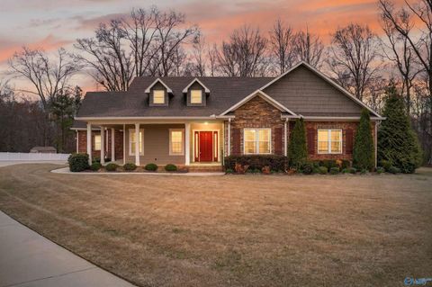 Photo of 175 Glenview Drive, Albertville, AL 35950 (MLS # 21911648)