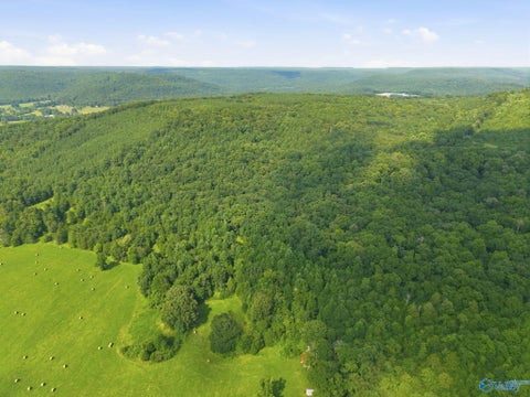 Vacant Land For Sale - 137 ACRES Ausby Light Road<br/> Somerville, AL 35760