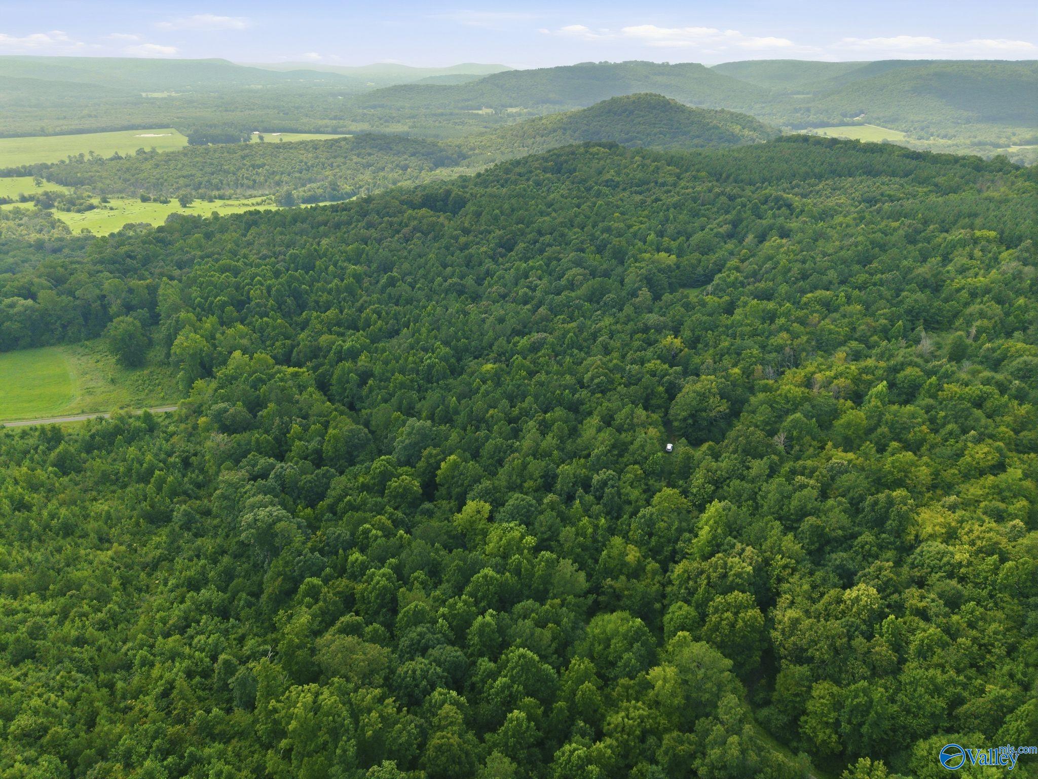 137 Acres Ausby Light Road