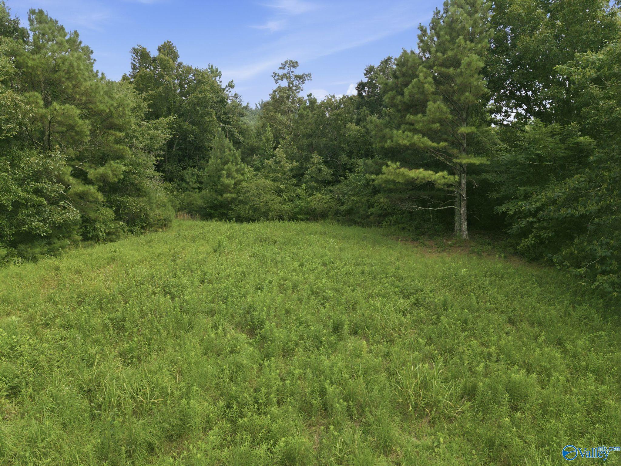 137 Acres Ausby Light Road
