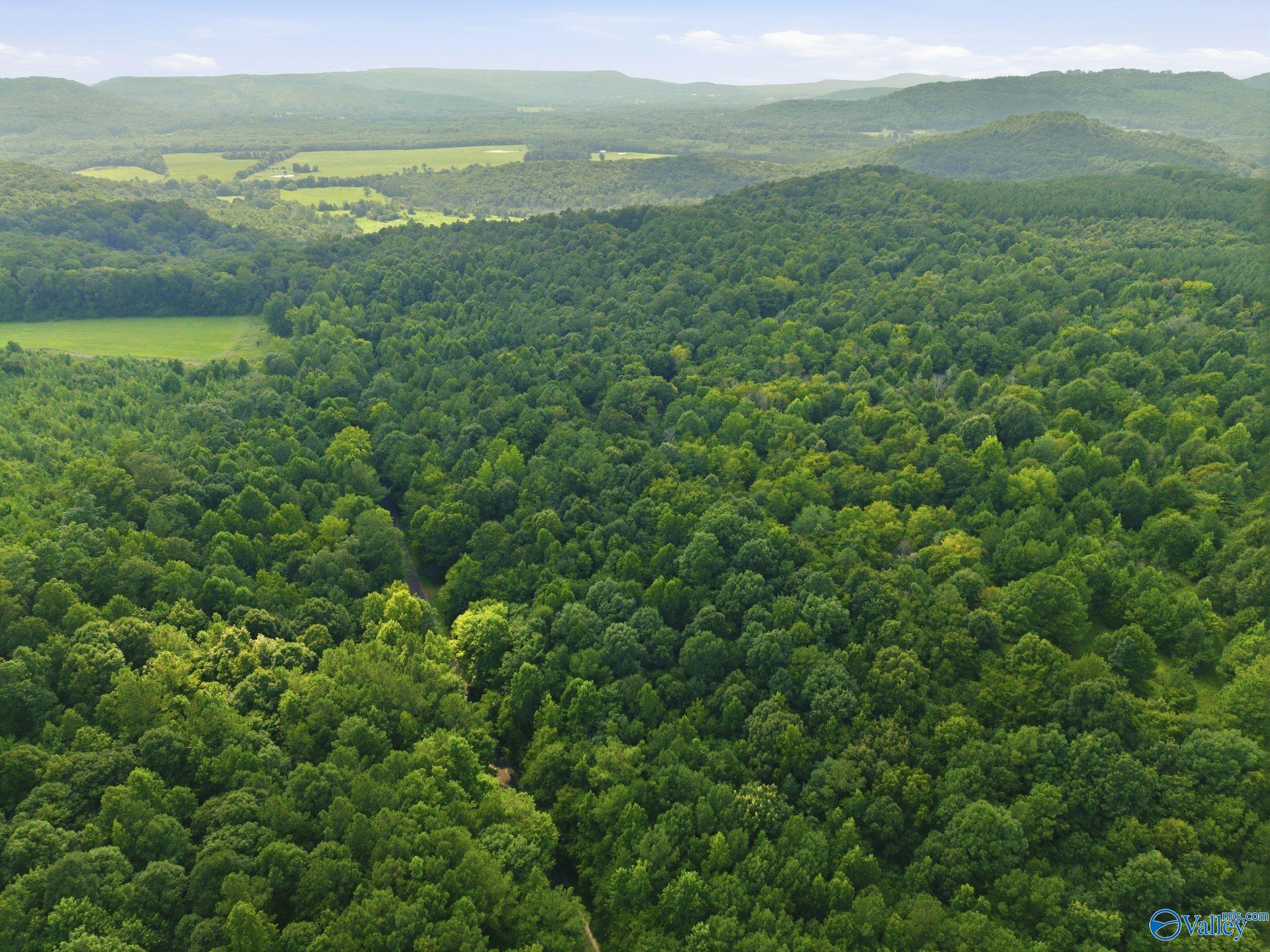 137 Acres Ausby Light Road
