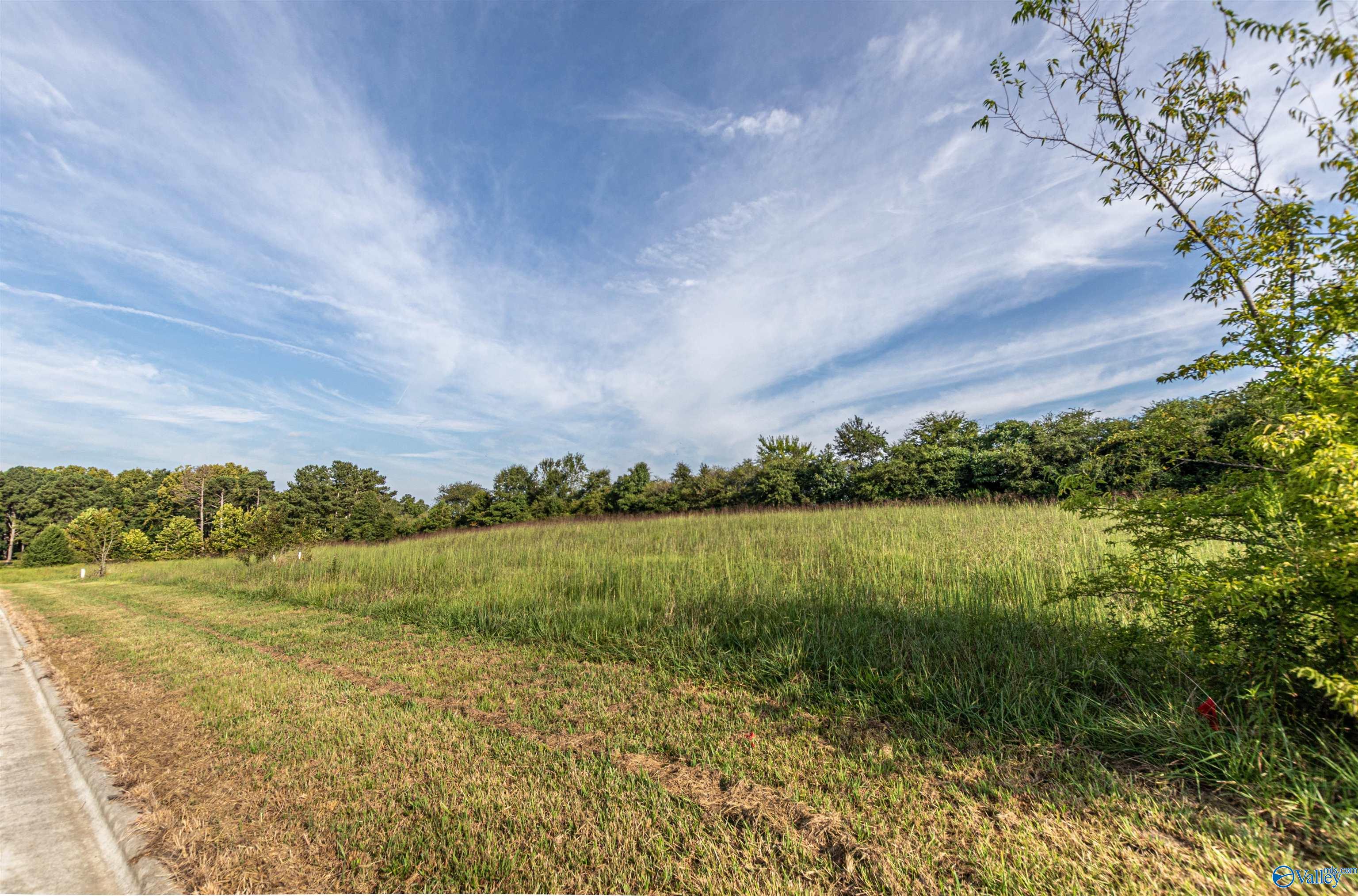 Lot 37 Krimson Circle, Albertville, Alabama image 9