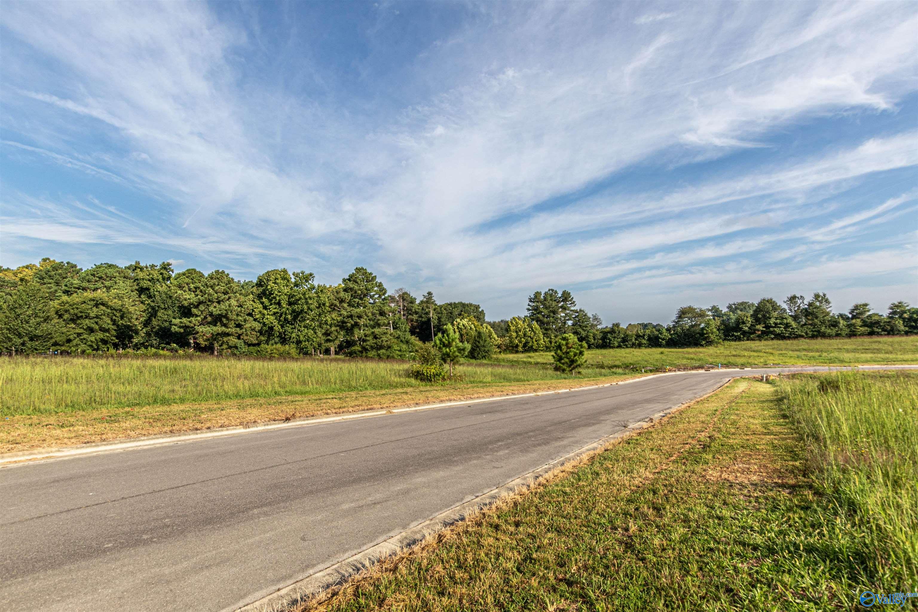 Lot 37 Krimson Circle, Albertville, Alabama image 13