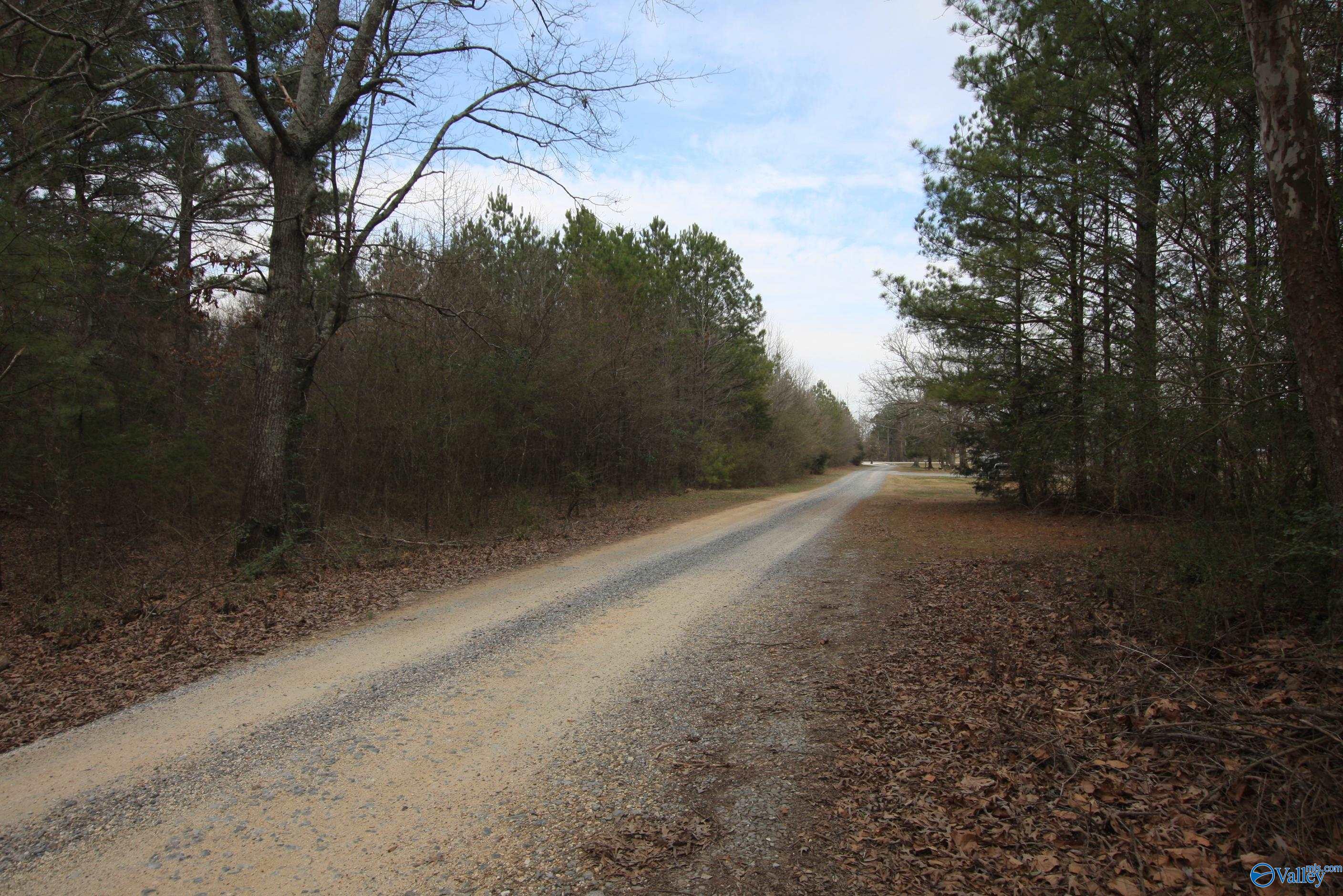 9.06 Ac Old Highway 411, Centre, Alabama image 7
