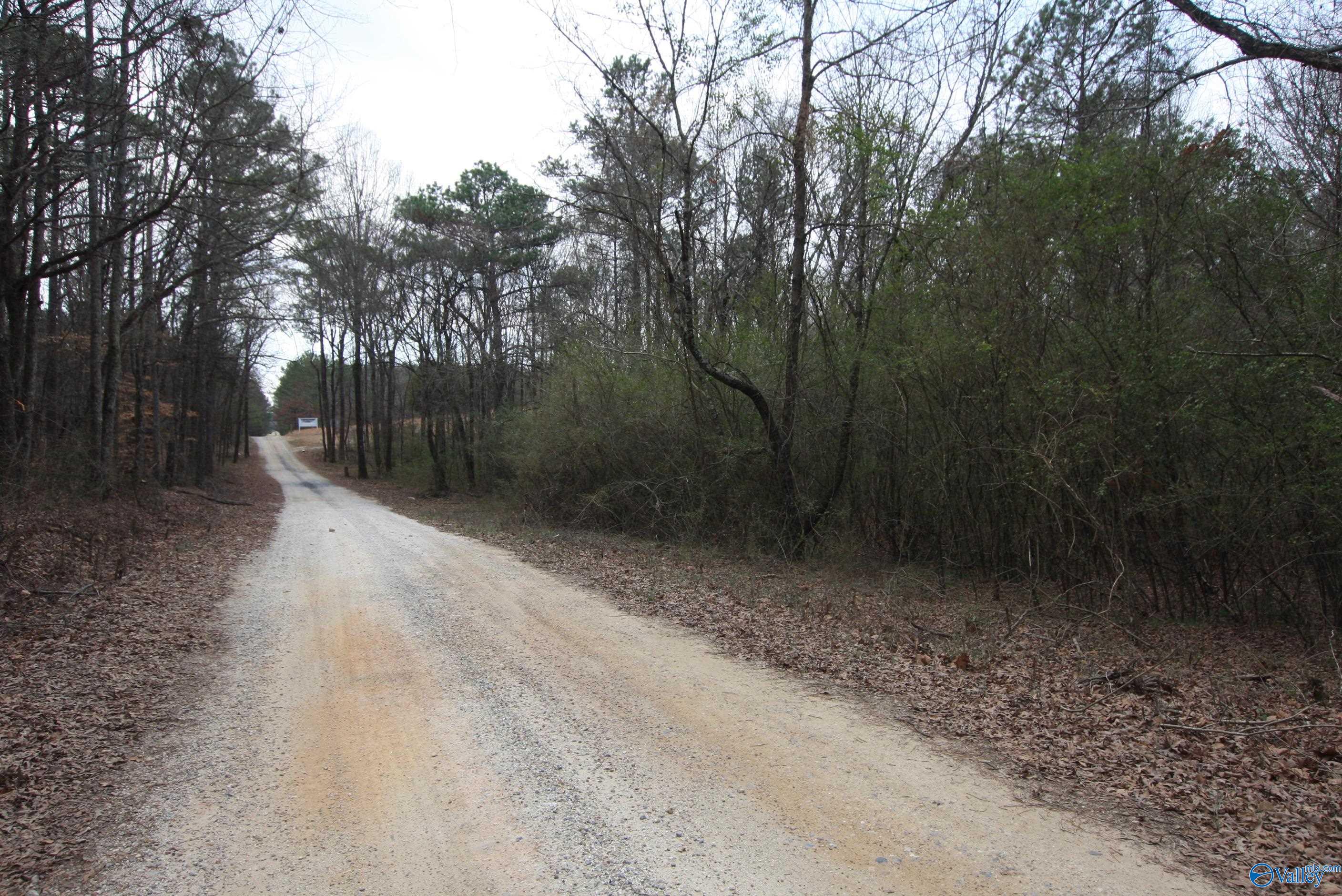 9.06 Ac Old Highway 411, Centre, Alabama image 8