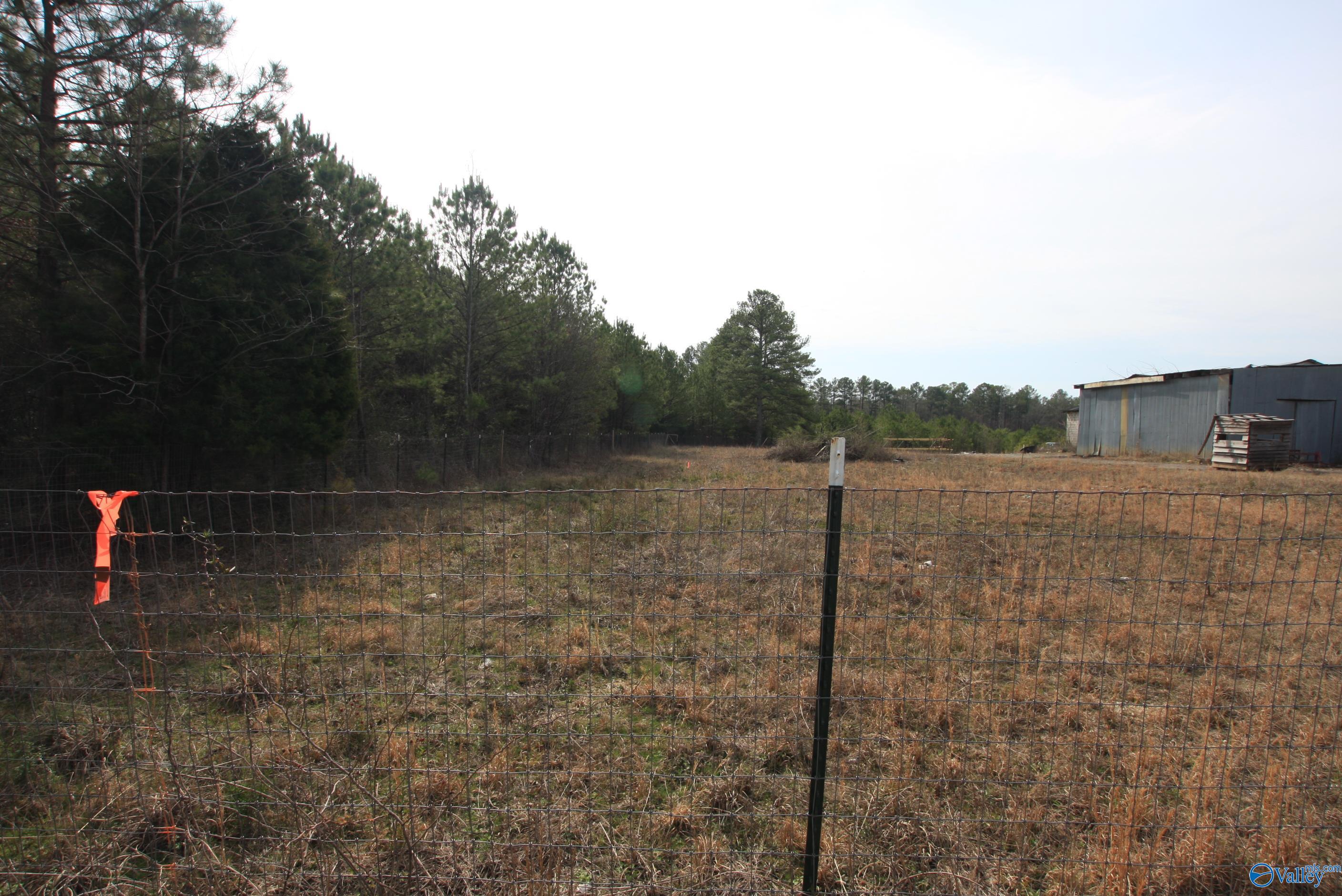 9.06 Ac Old Highway 411, Centre, Alabama image 5