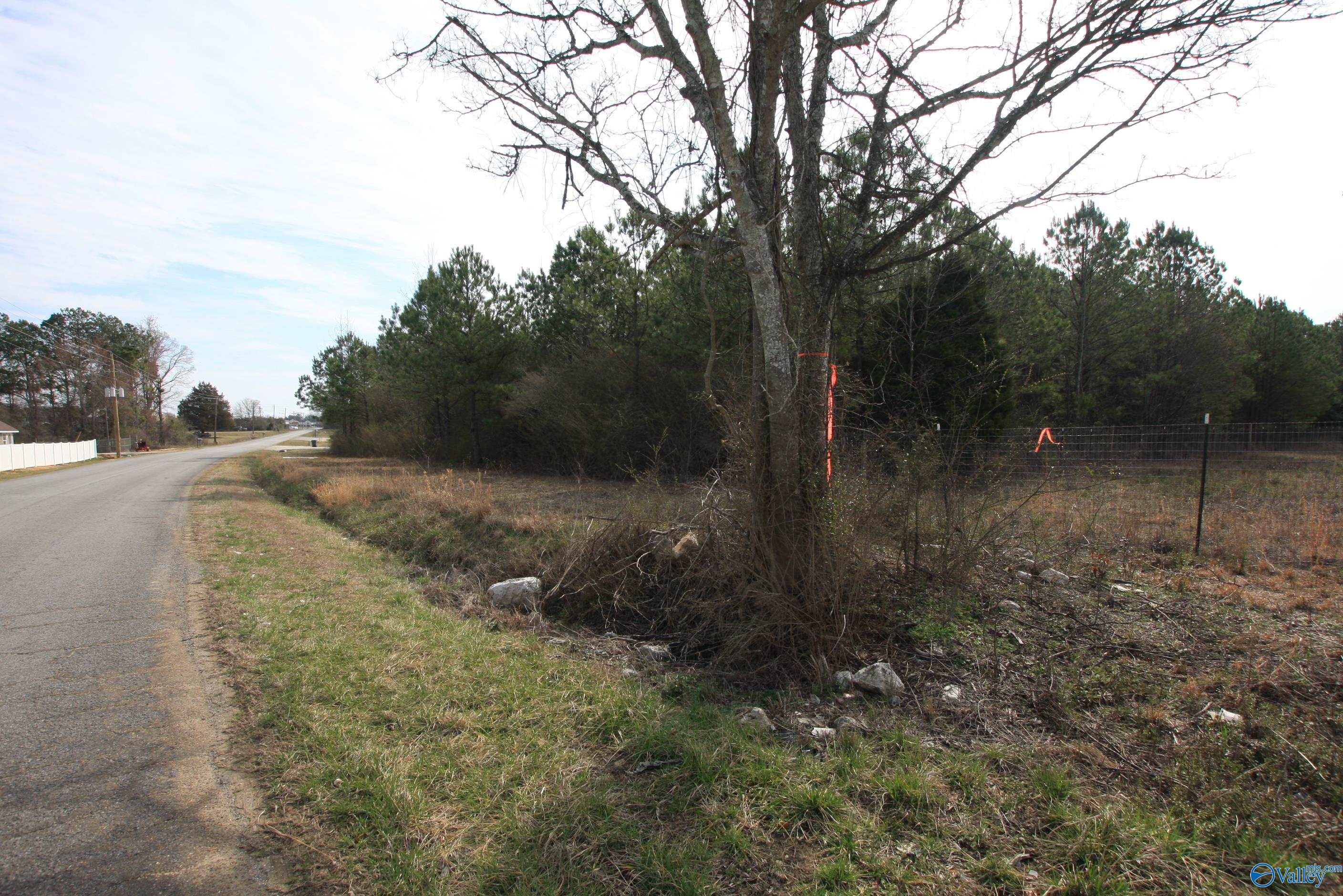 9.06 Ac Old Highway 411, Centre, Alabama image 4