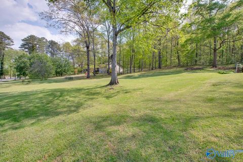 Vacant Land For Sale - .47 ACRES Willow Beach Road<br/> Guntersville, AL 35976