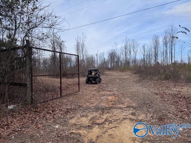 33+/- Acres County Road 1101, Vinemont, Alabama image 23