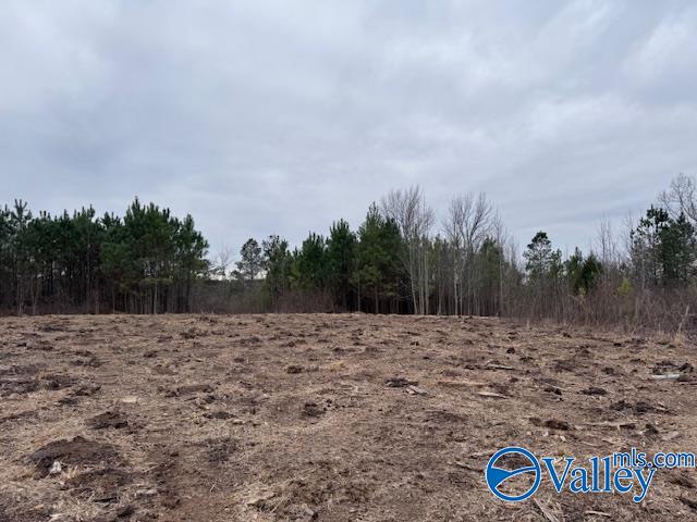 33+/- Acres County Road 1101, Vinemont, Alabama image 28