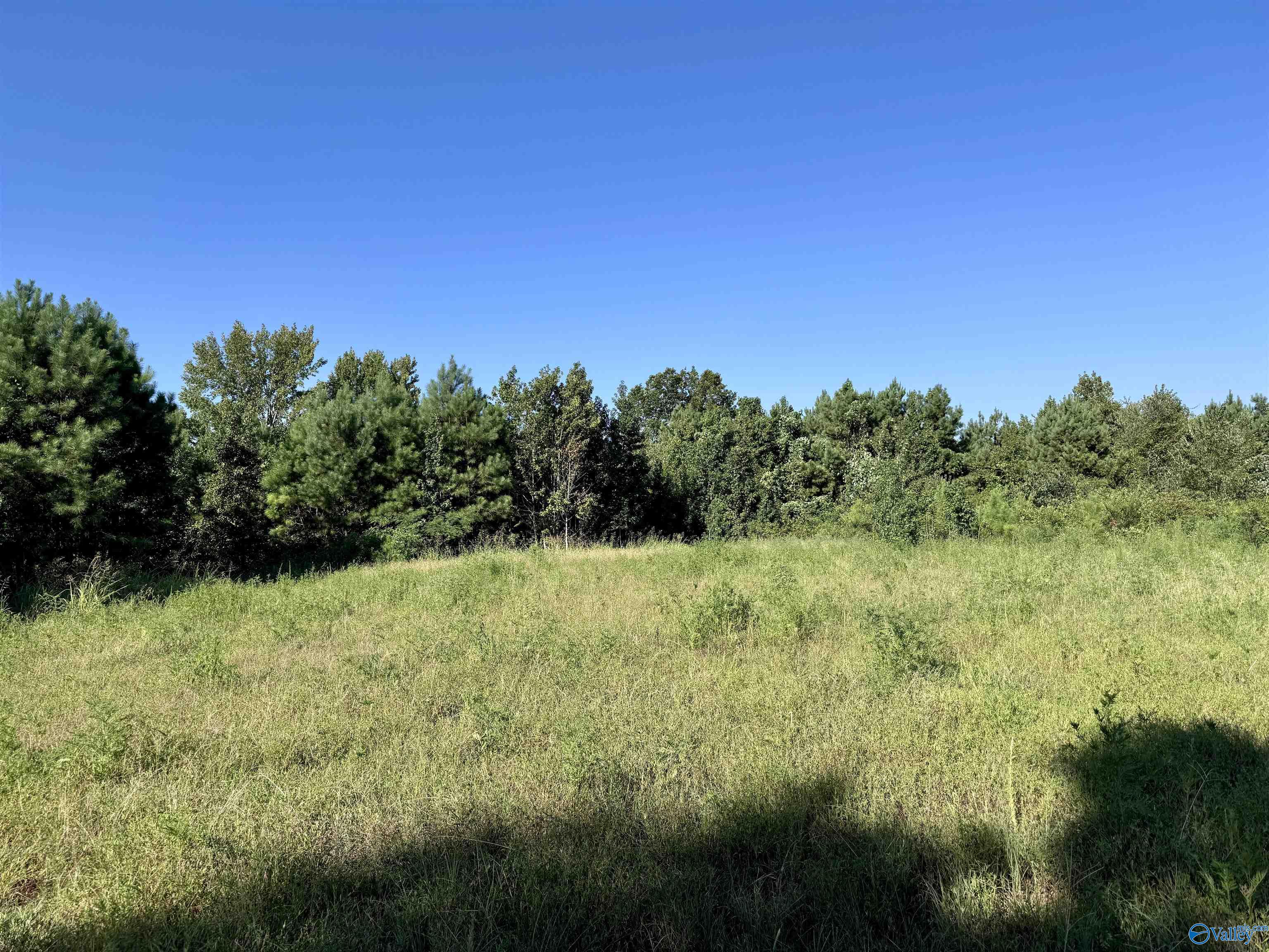 33+/- Acres County Road 1101, Vinemont, Alabama image 1